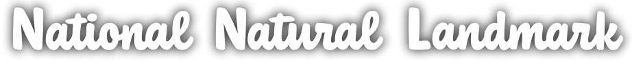 NNL-3.png