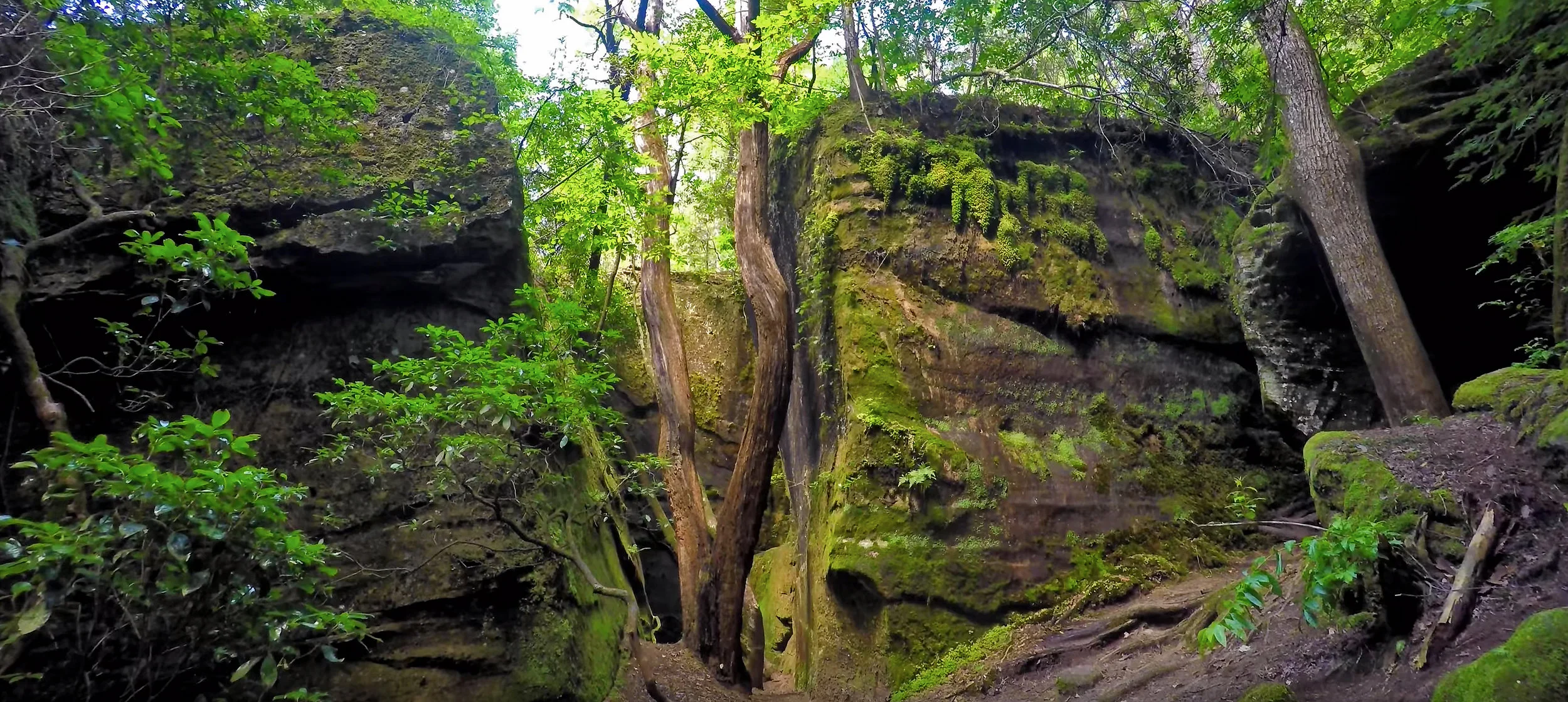 Frame from Scott Neverdusky video