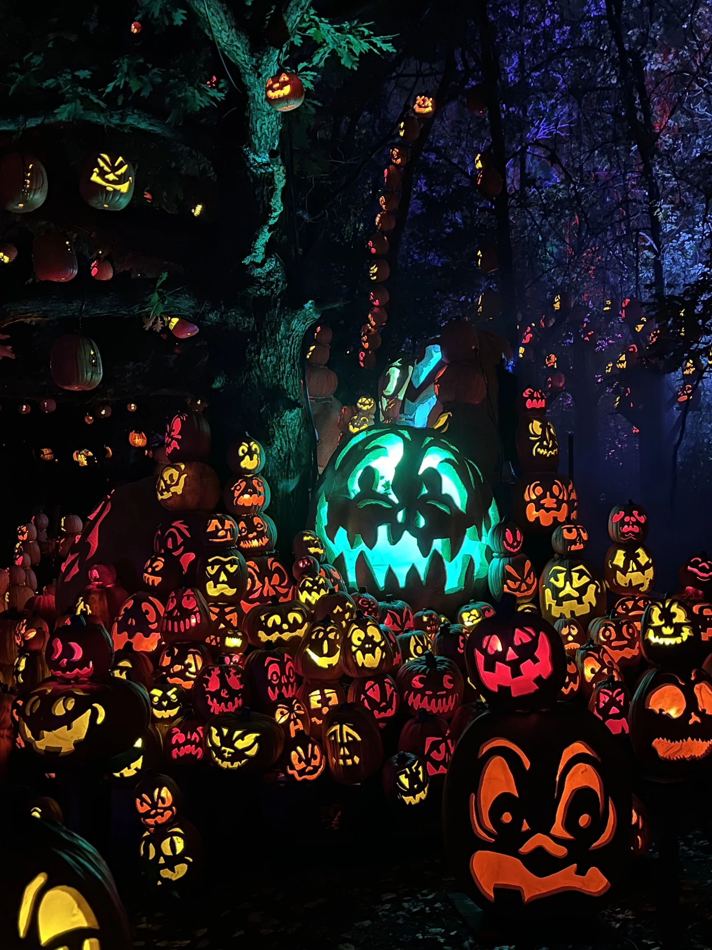 A Guide to Jack-O-Lantern Spectacular: A Minnesota Zoo Event