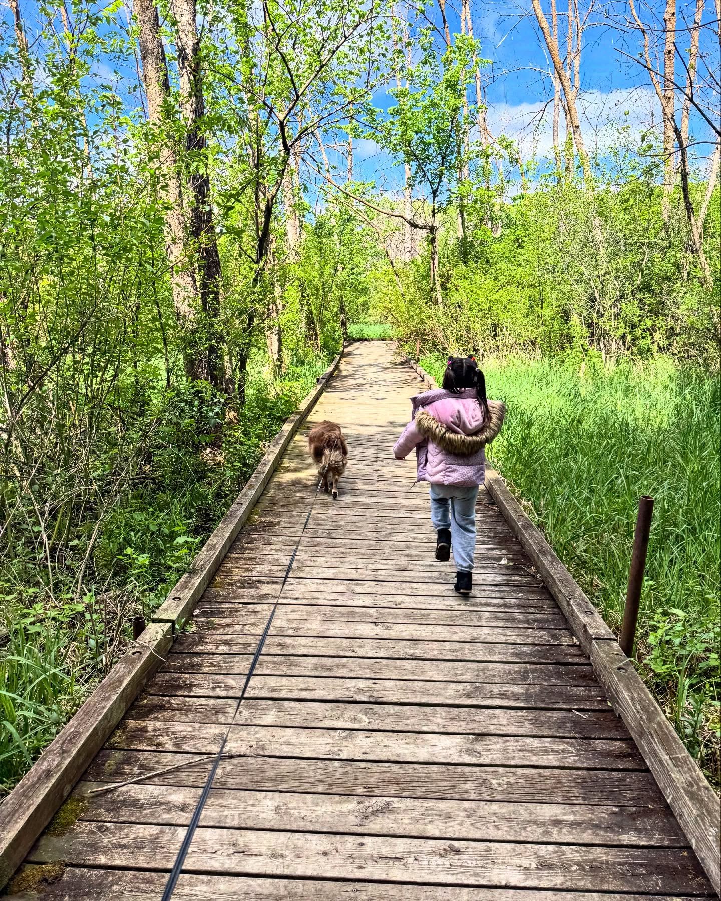 Morning hike 🐕 🐕 🌲