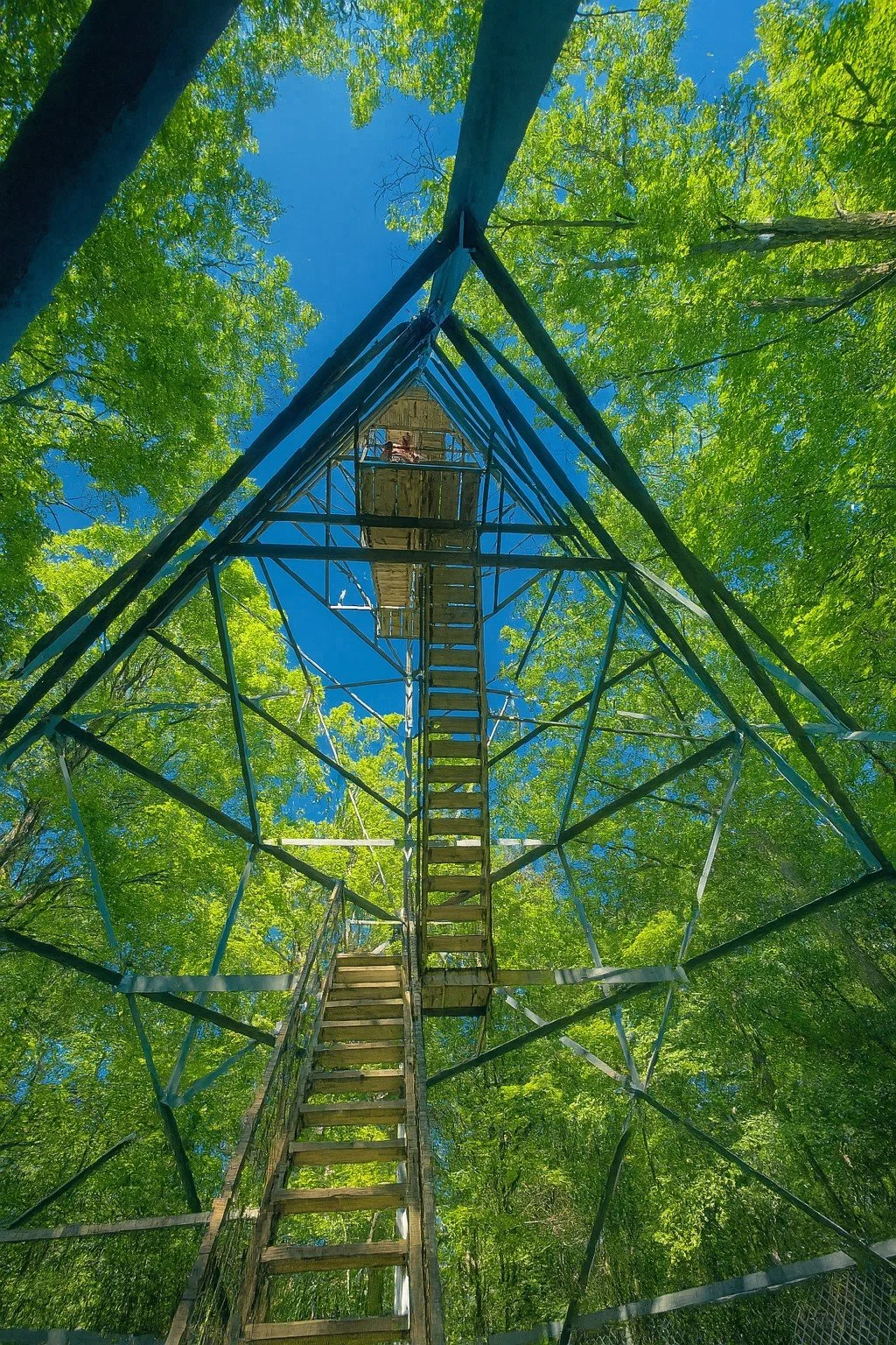 Firetower view from below (2).jpg