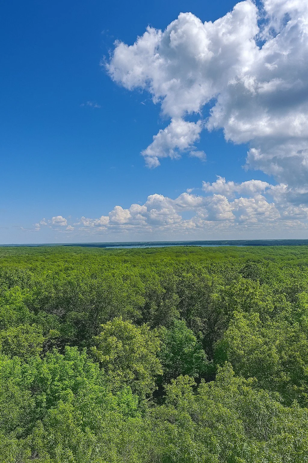 View from fire tower.jpg