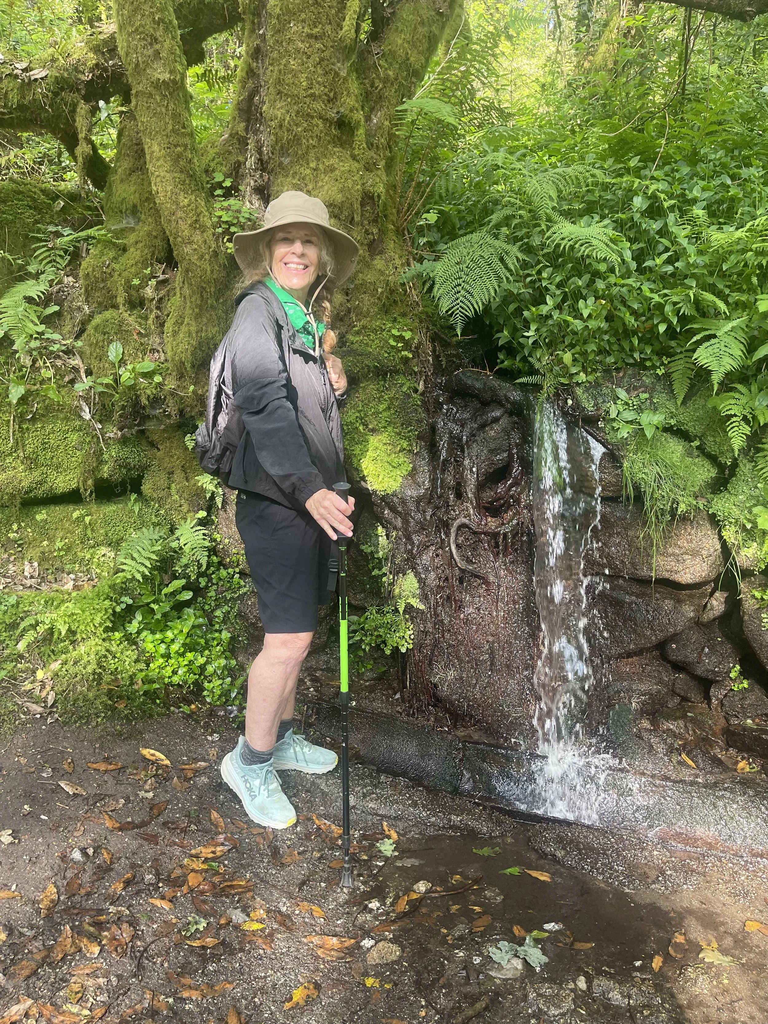 Cynthia's Camino Journey