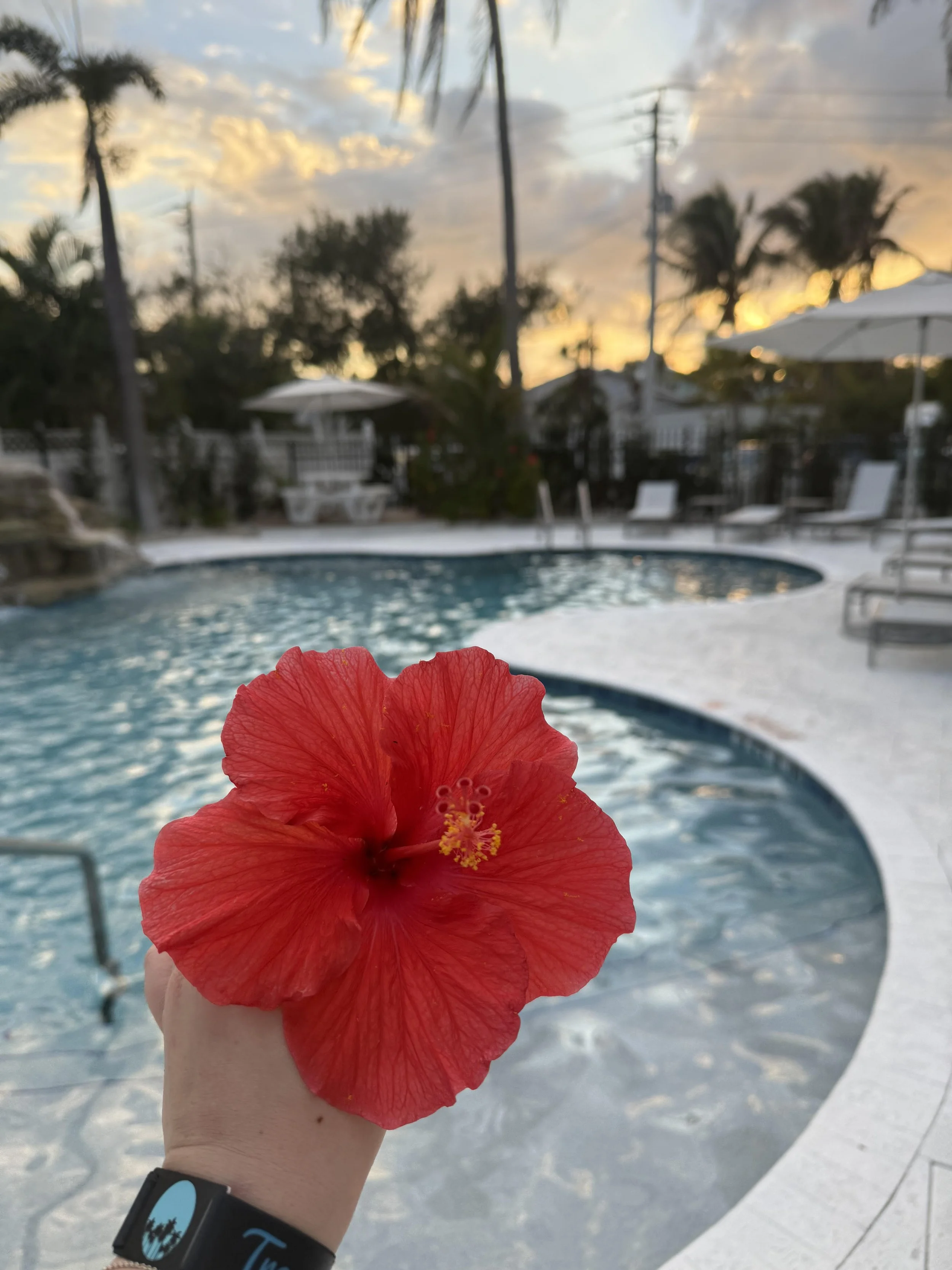 A Guide to Siesta Key: Florida's Quartz Beach City