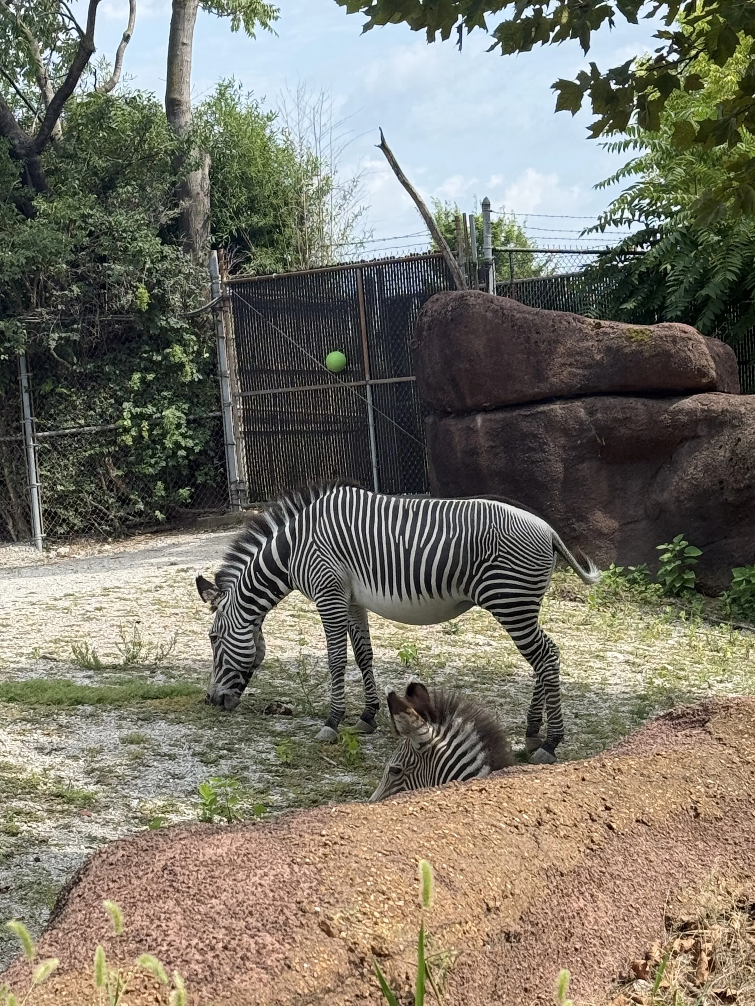 IMG_0544.jpeg