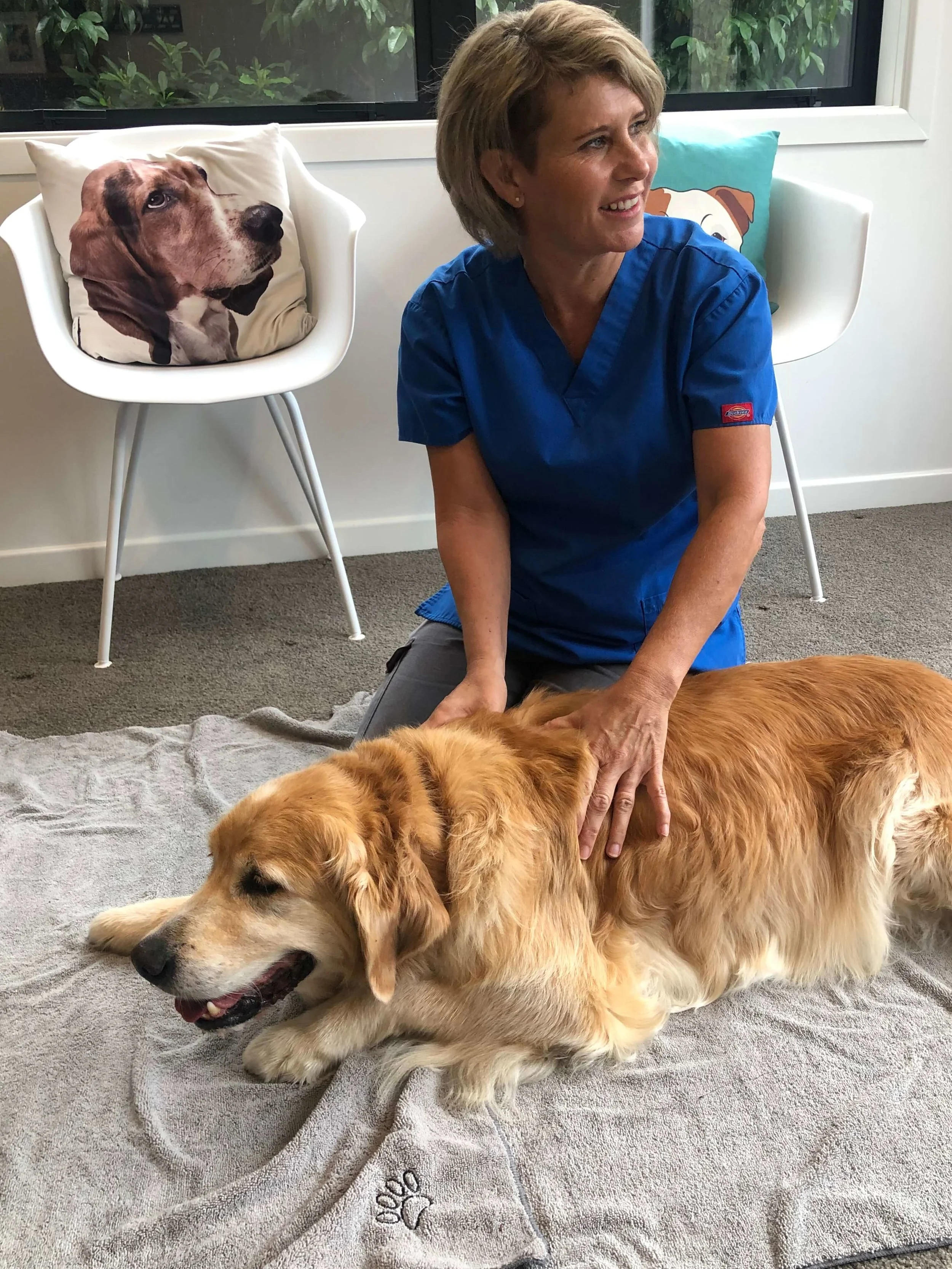 4 Paws Canine Massage Auckland New Zealand 2.jpg