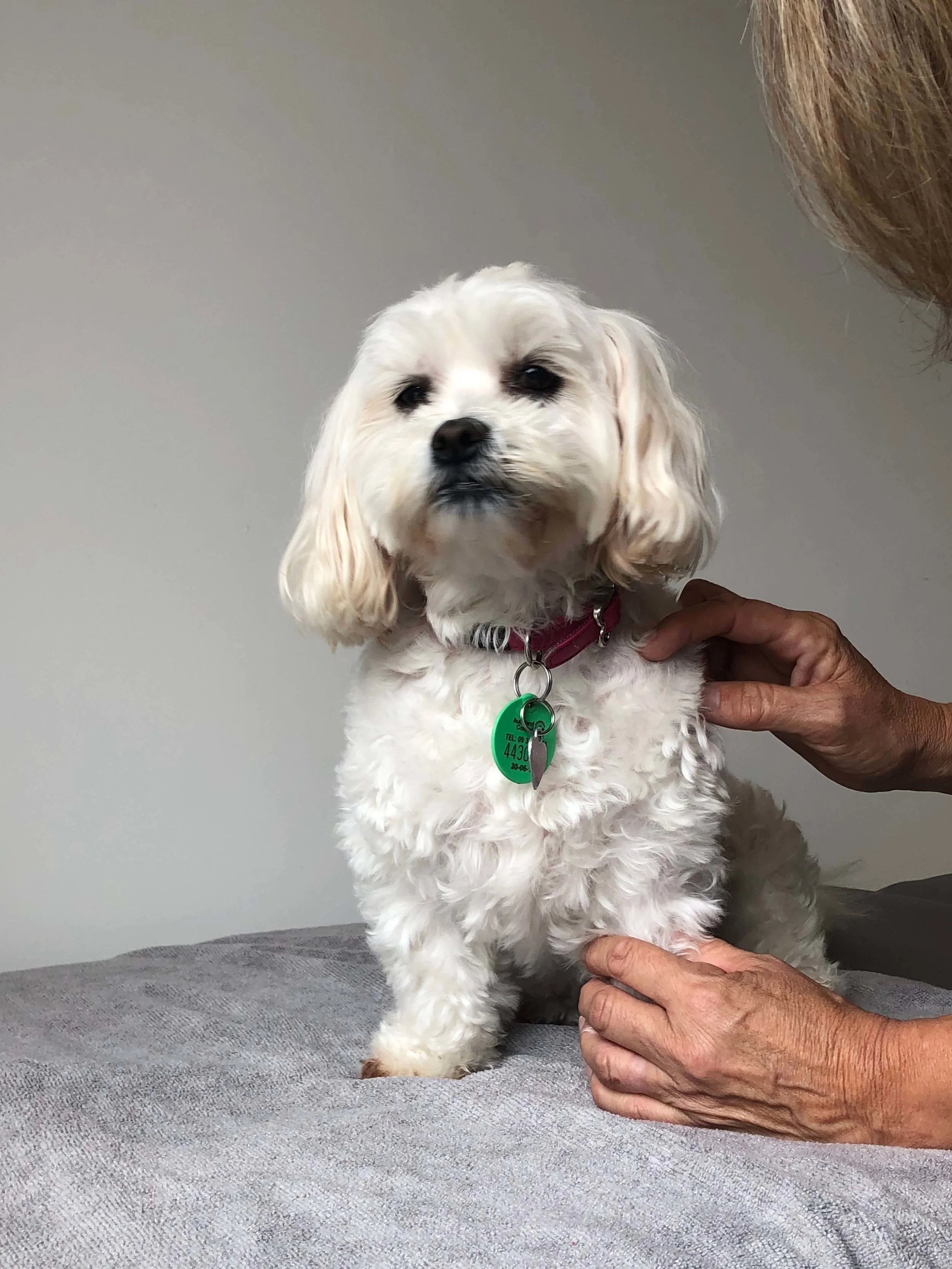 Follow up consultation (45 Minutes)