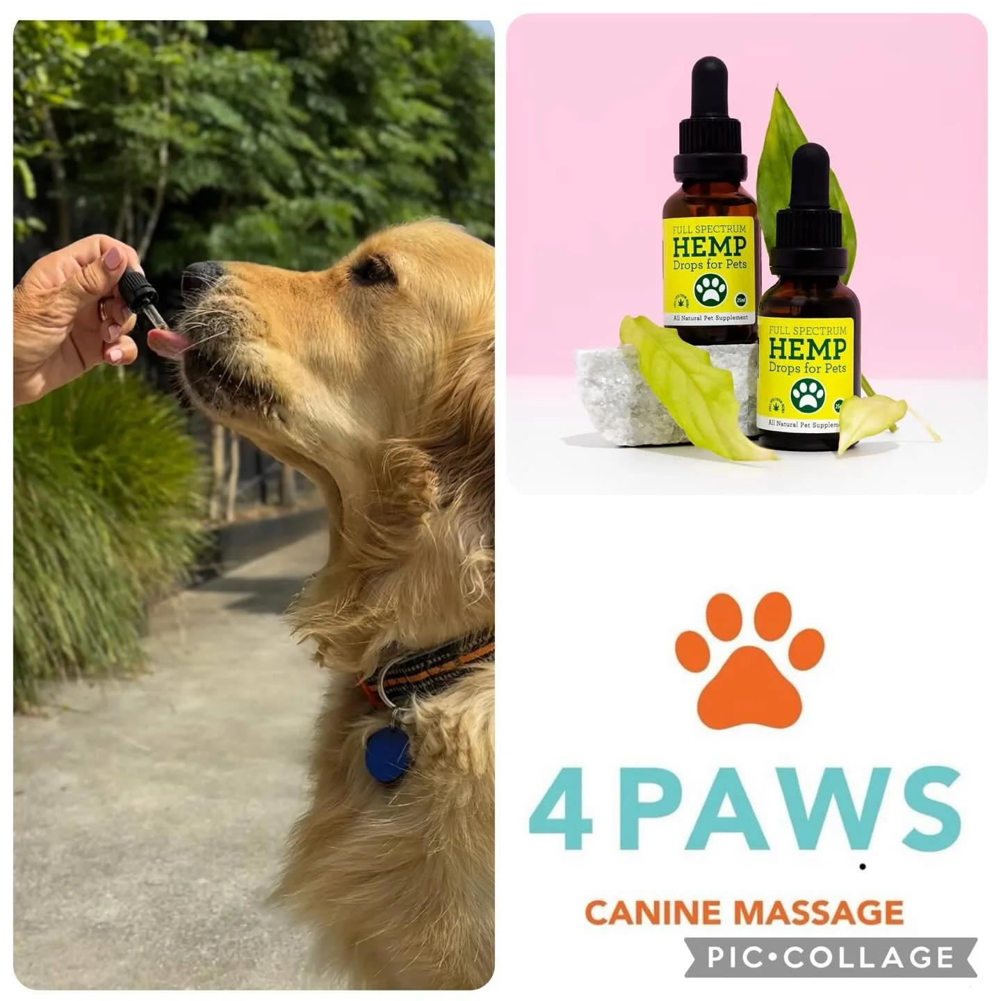 2 bottles of 100% Natural 25mls Full Spectrum Hemp Oil for your beloved Pet for $99

Grown and produced right here in New Zealand, our Hemp Pet Drops help your Pet to sleep better, aides in calming and helps with Pet&rsquo;s who experience seizures, 