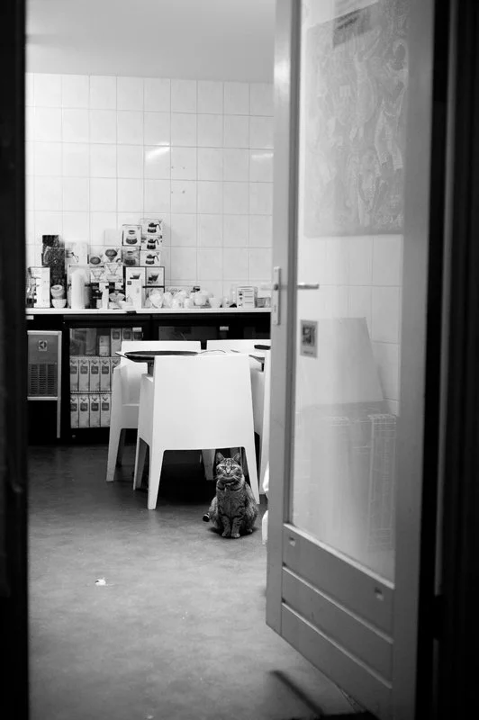 DSC_1981.jpeg