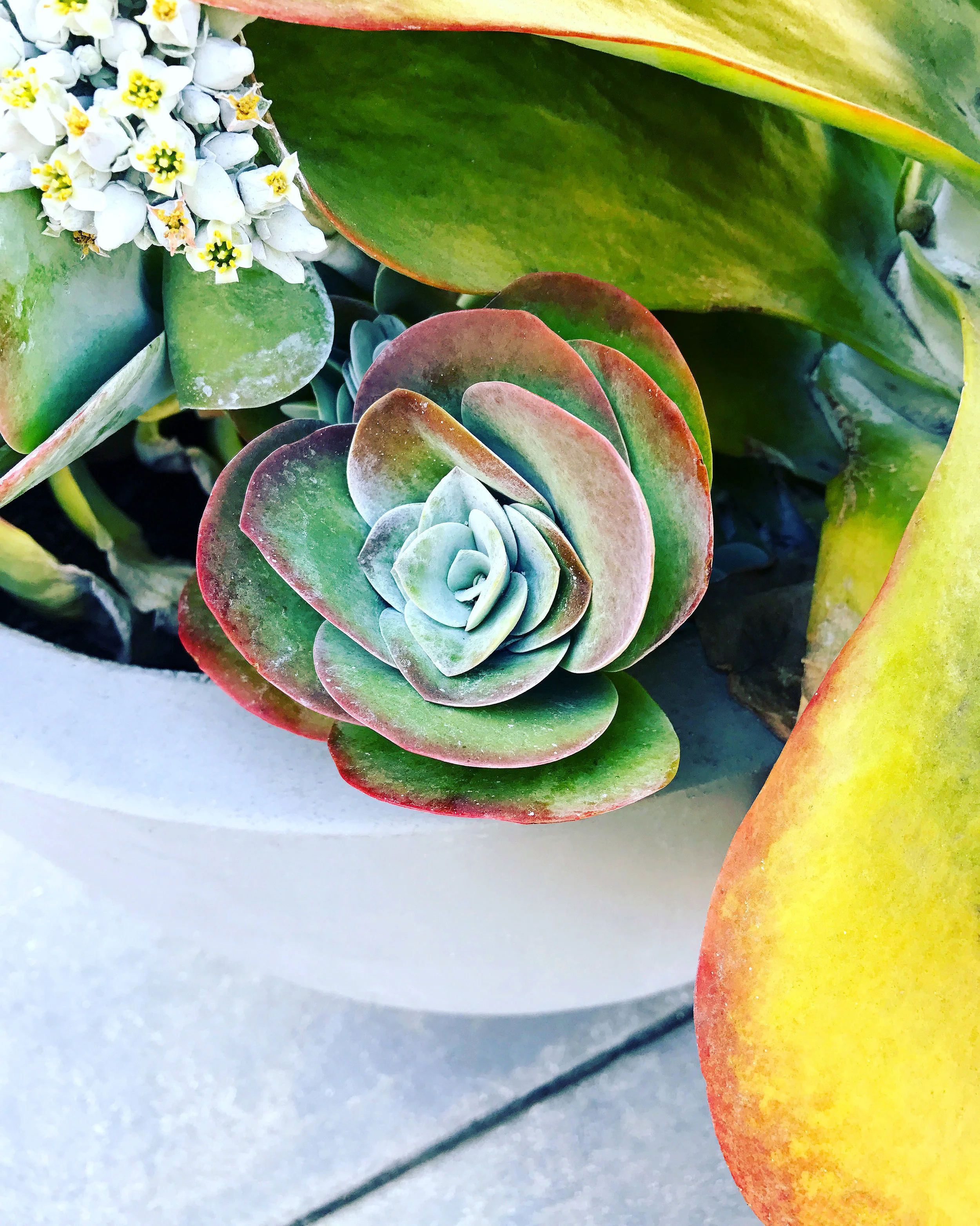 Pasadena, California