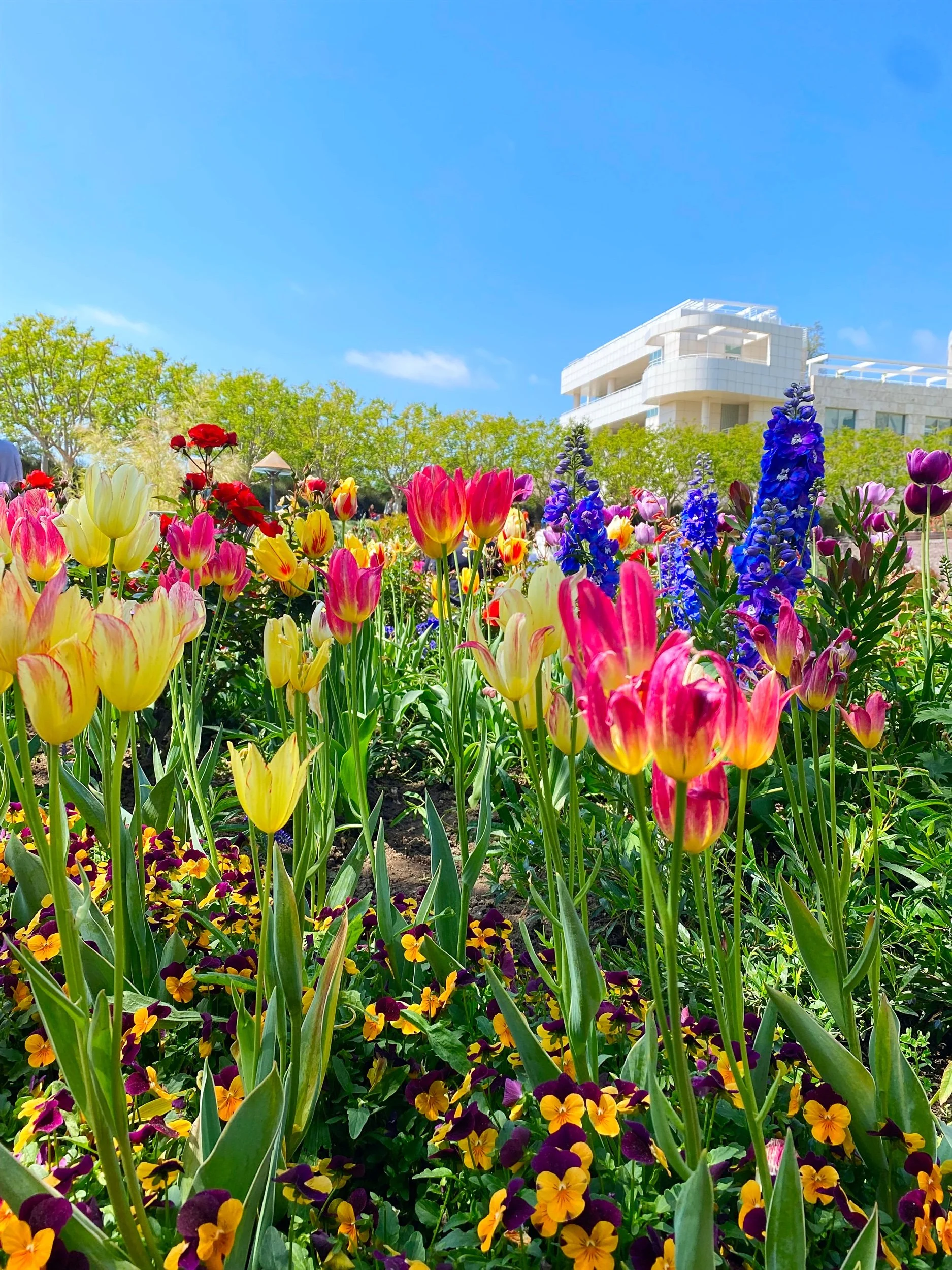 Brentwood, California