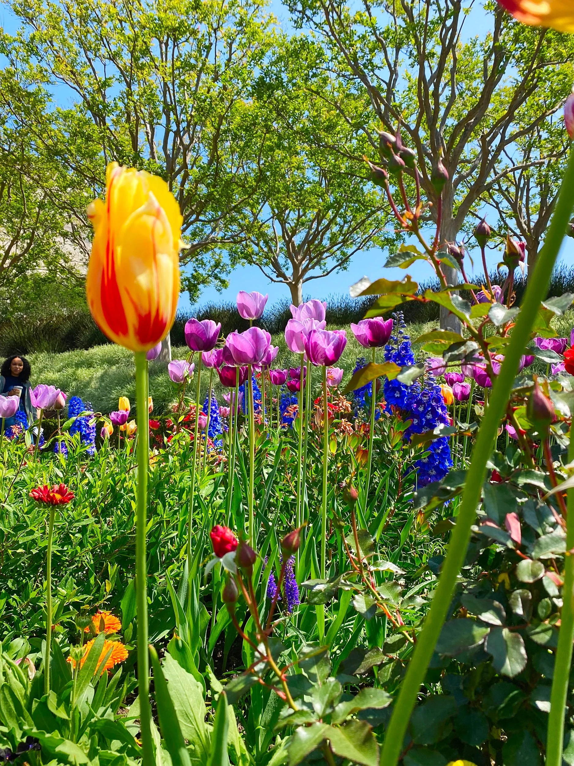 Brentwood, California