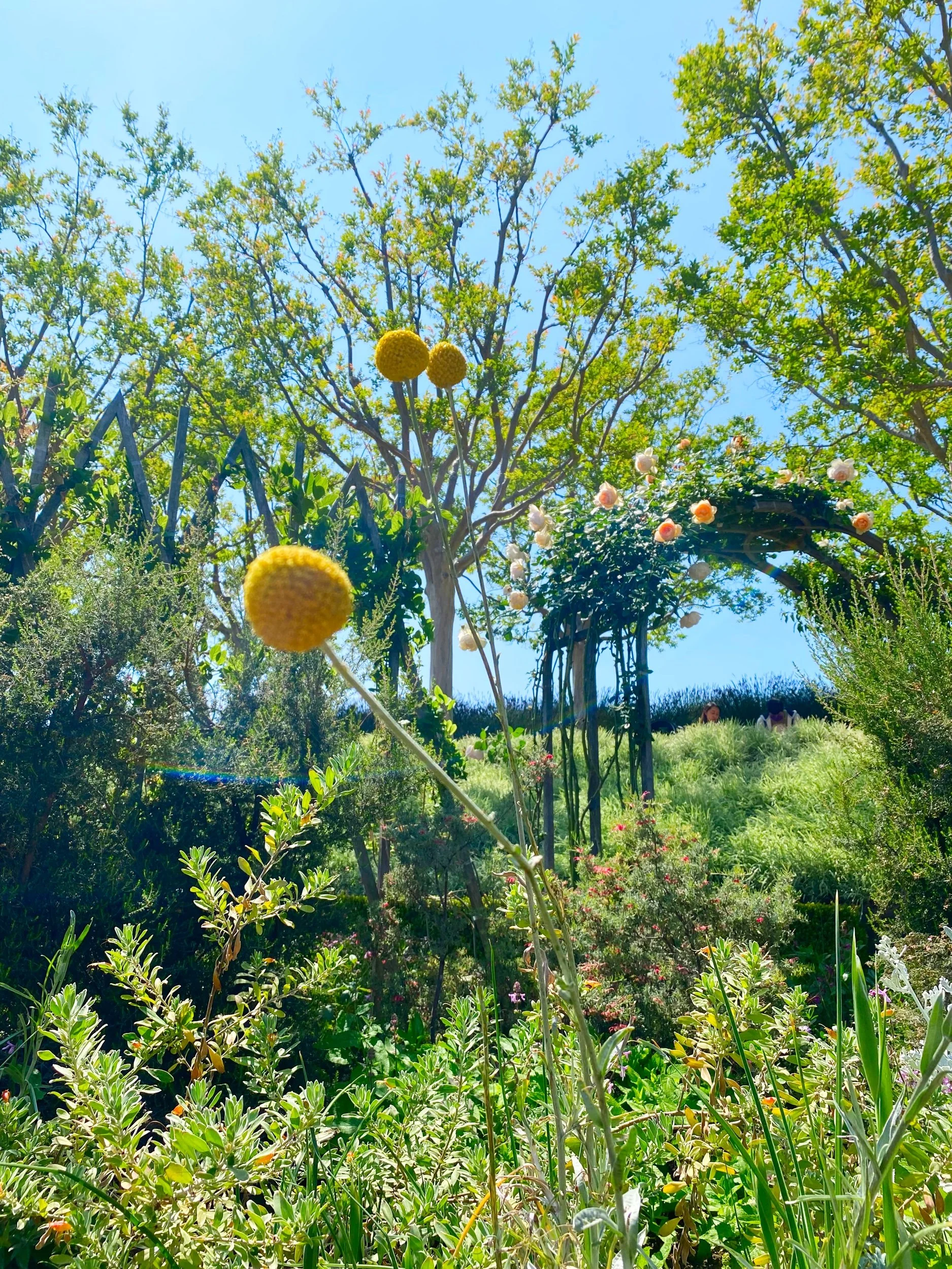 Brentwood, California