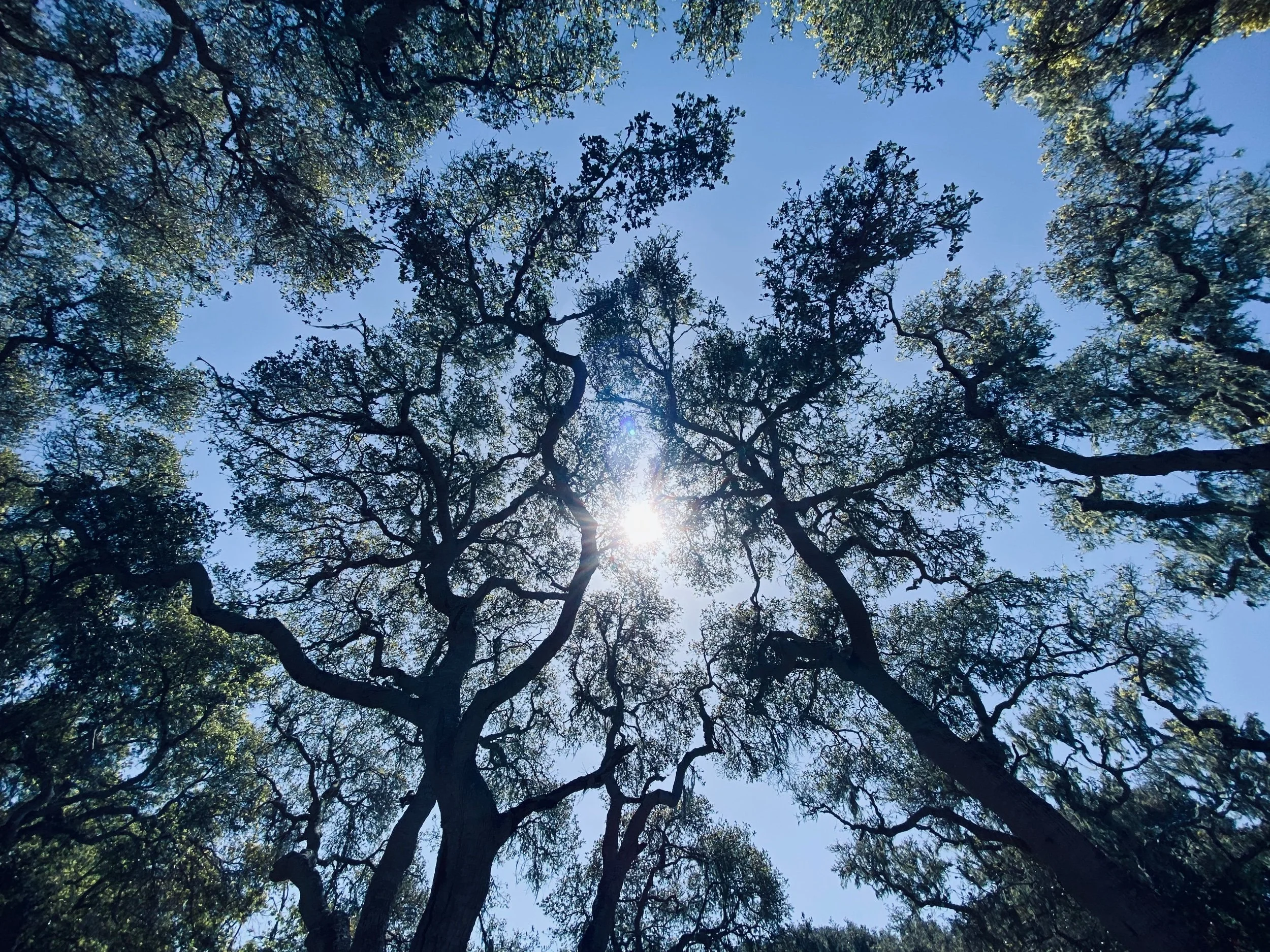 Los Osos, California 