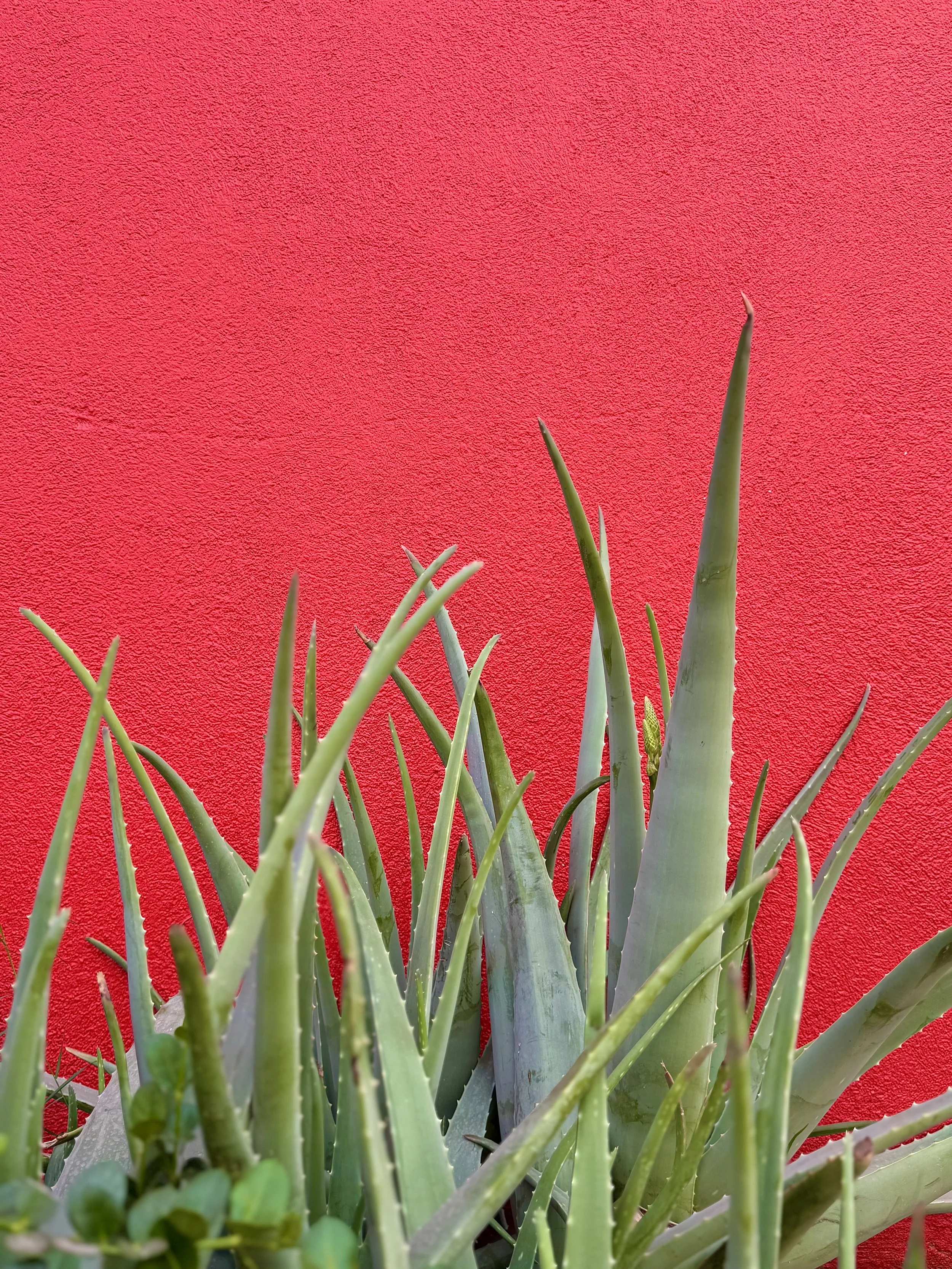 Palm Springs, California