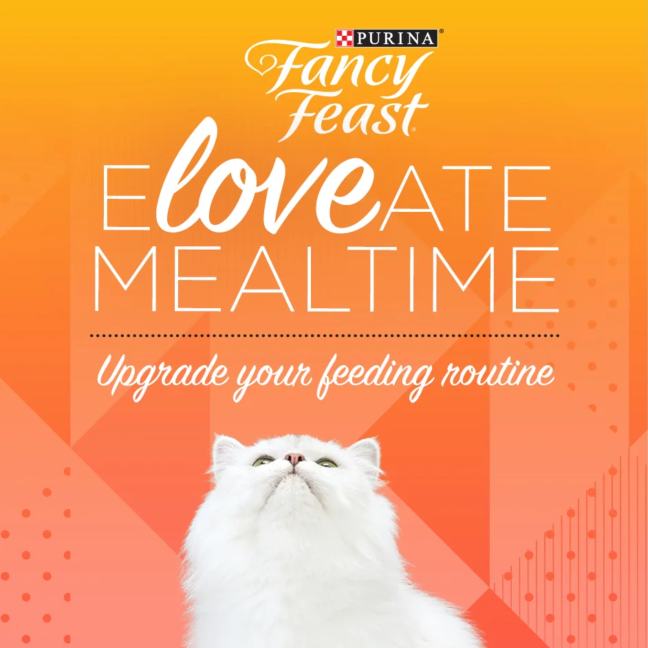 74990_2_TargetLitterToFood_Moodboard2.jpg