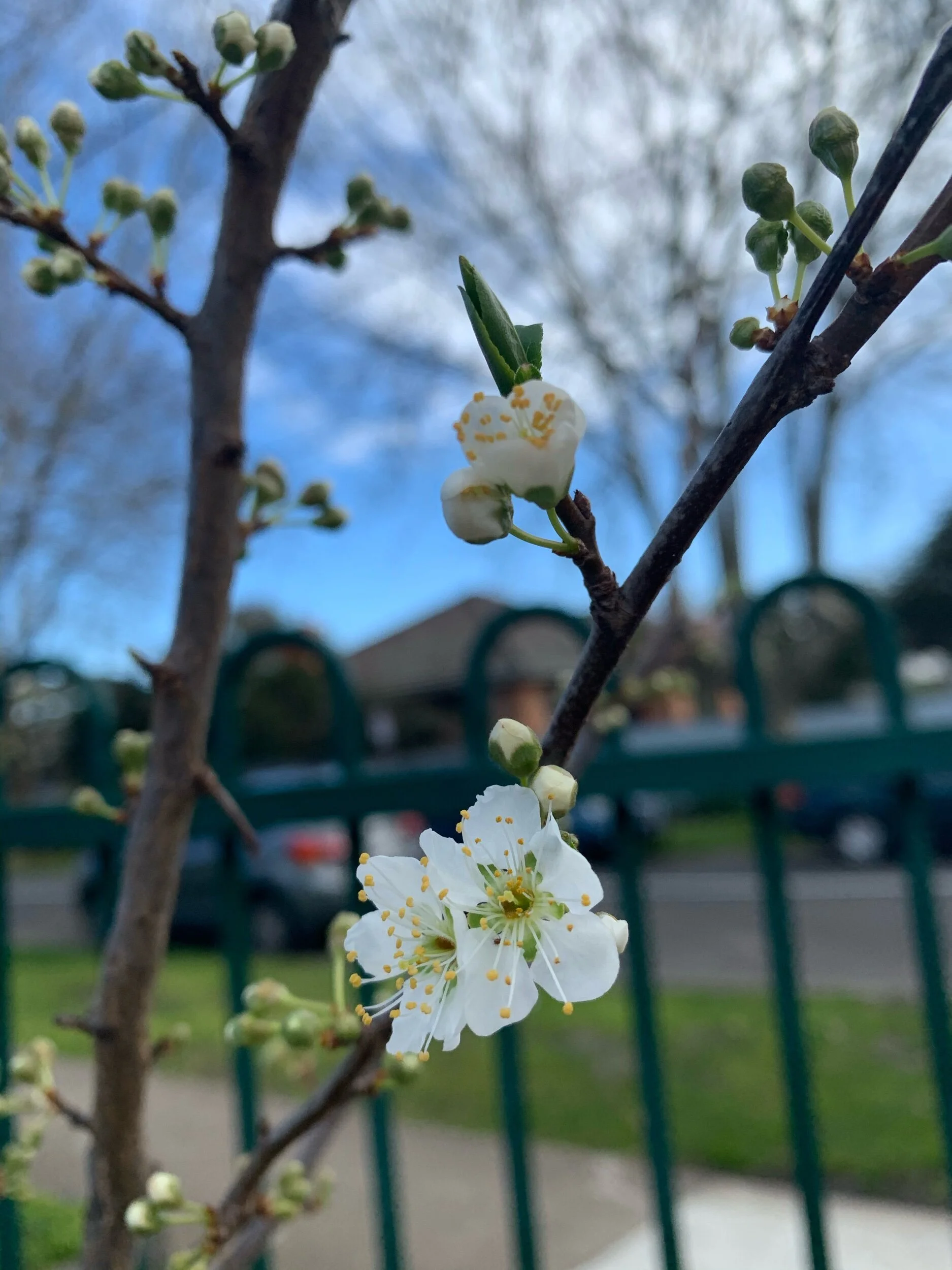 3 things that made us happy this week