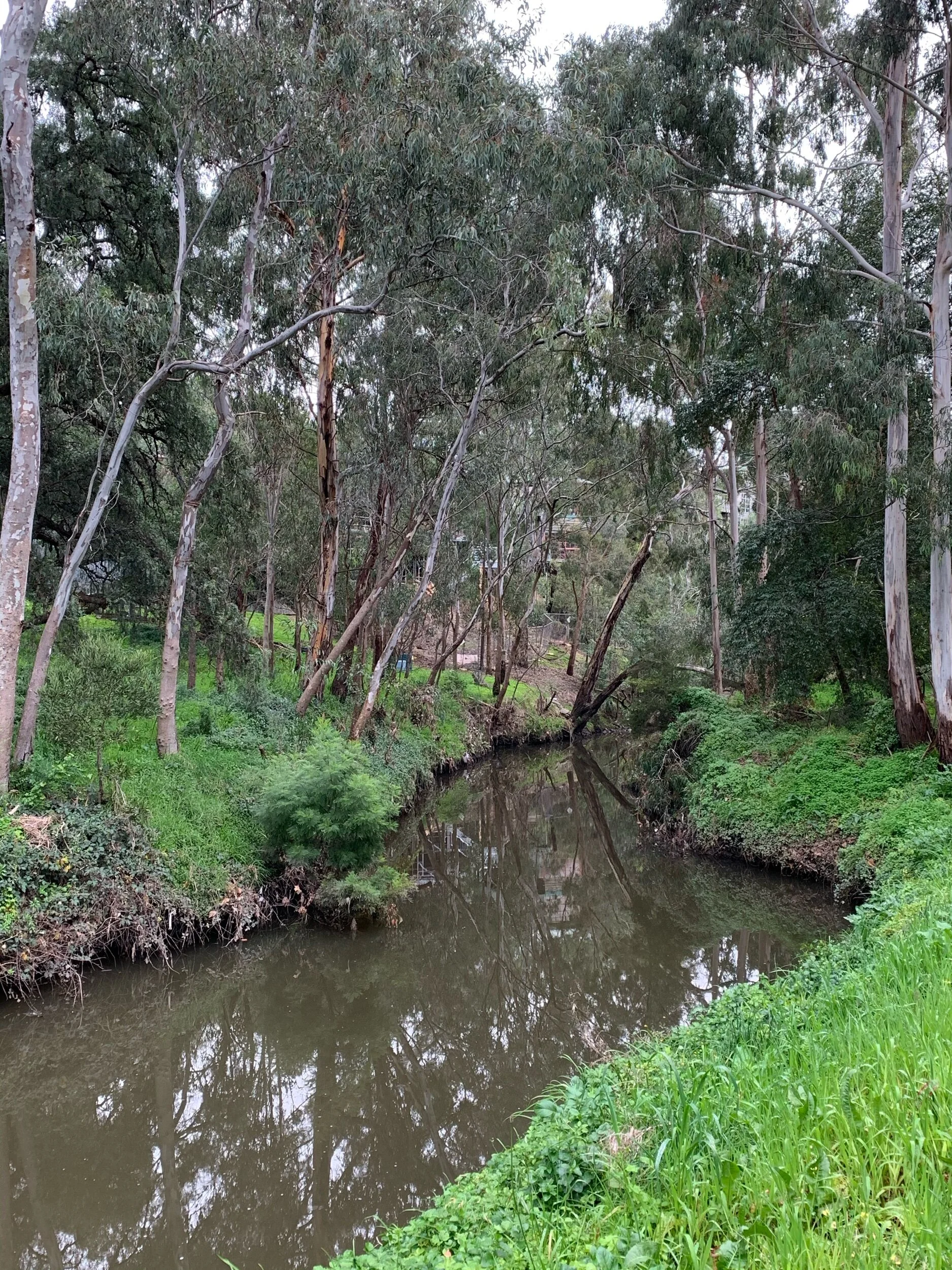 Darebin Parklands - the new 'it' spot