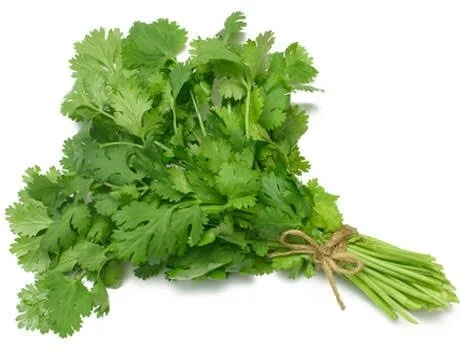 Community lunch recipes: mint and coriander chutney