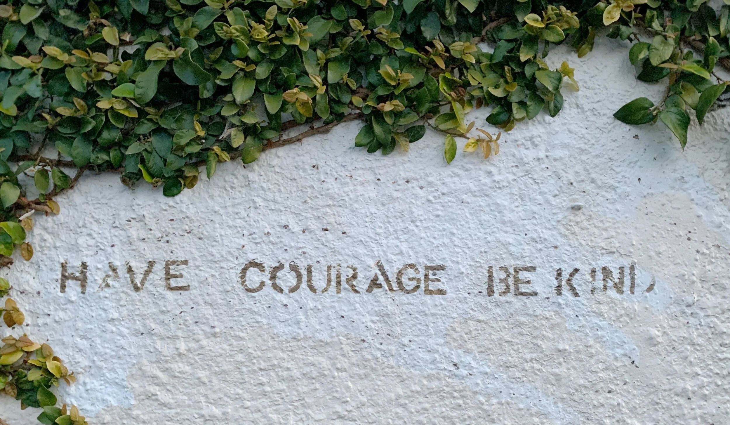 The word(s) from the street