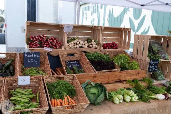 Urban agriculture in our own backyard