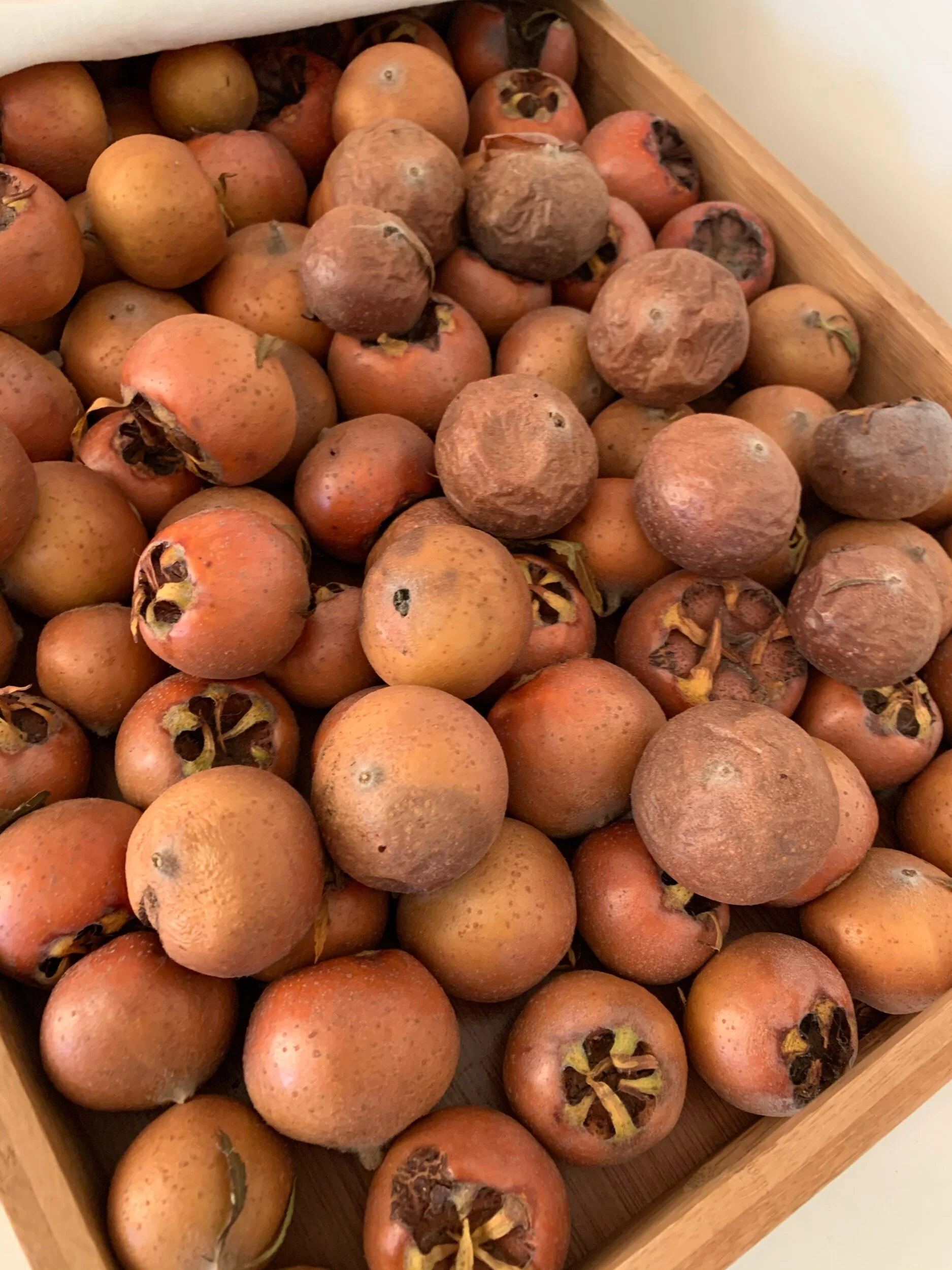 The gardening edition ... medlars