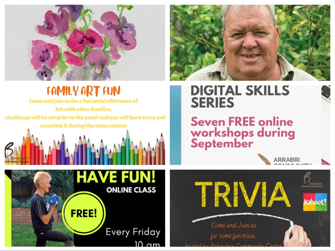 Neighbourhood houses online