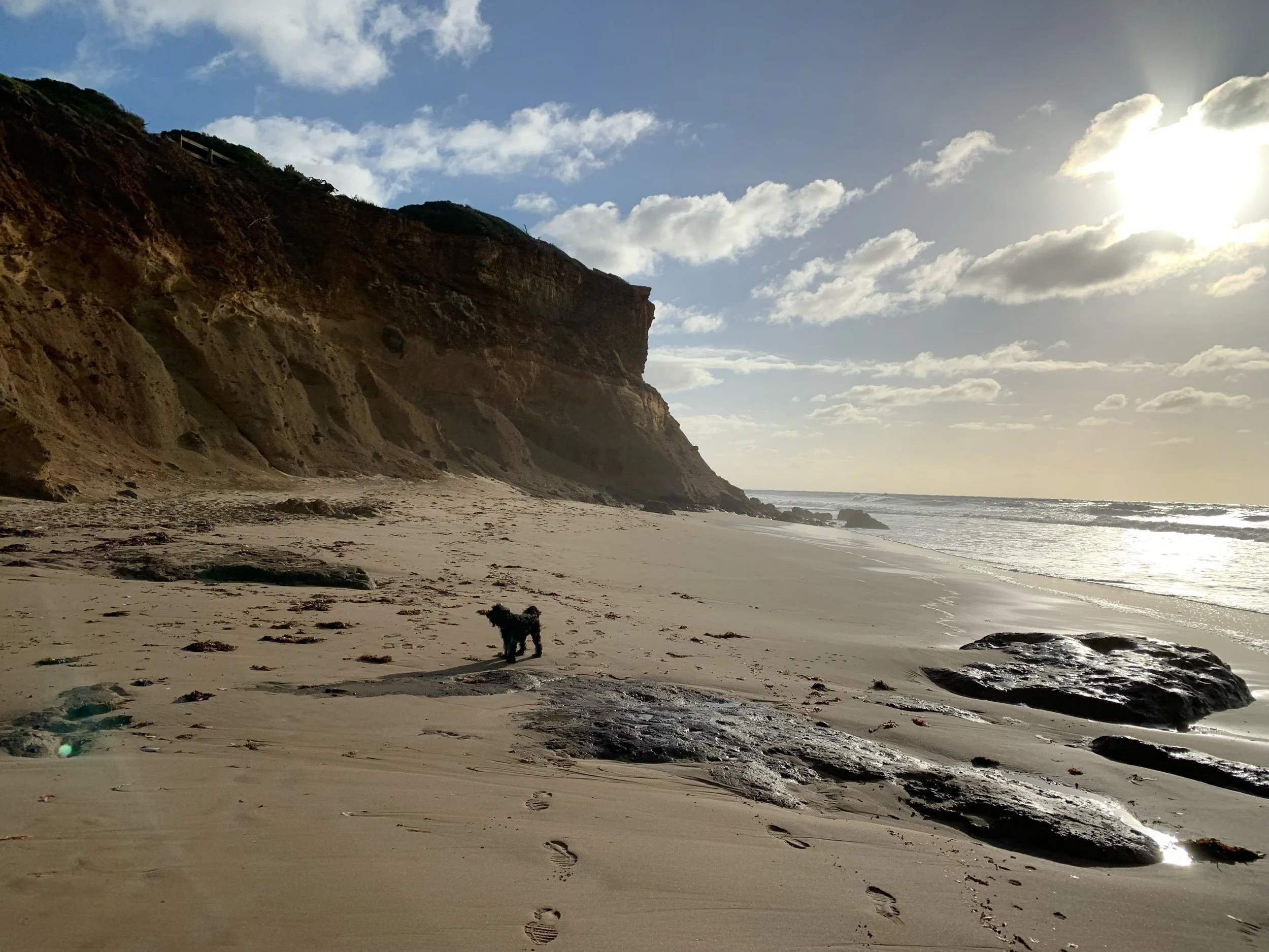 We’re nearly back - next week!