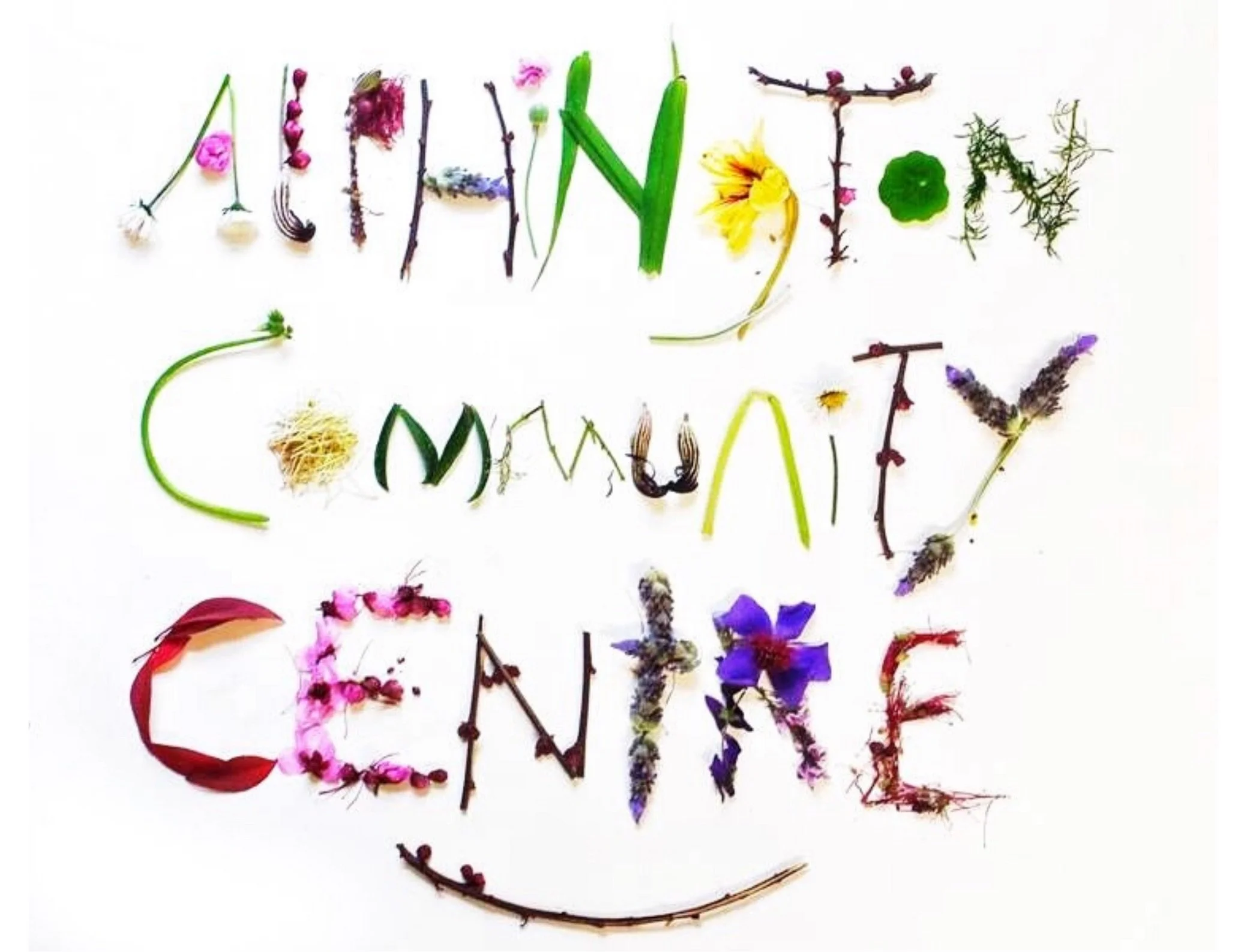 Looking for a committee member or two