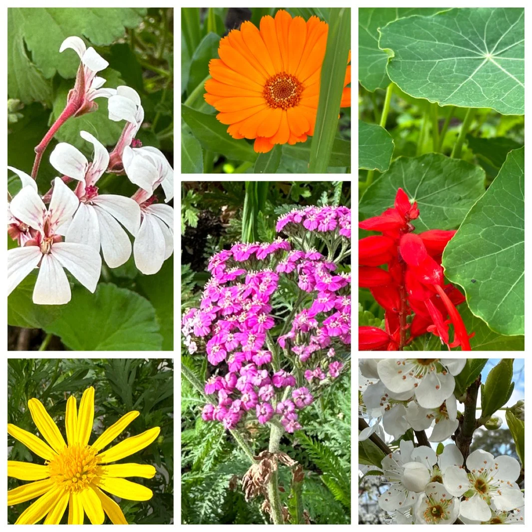 Gardening news