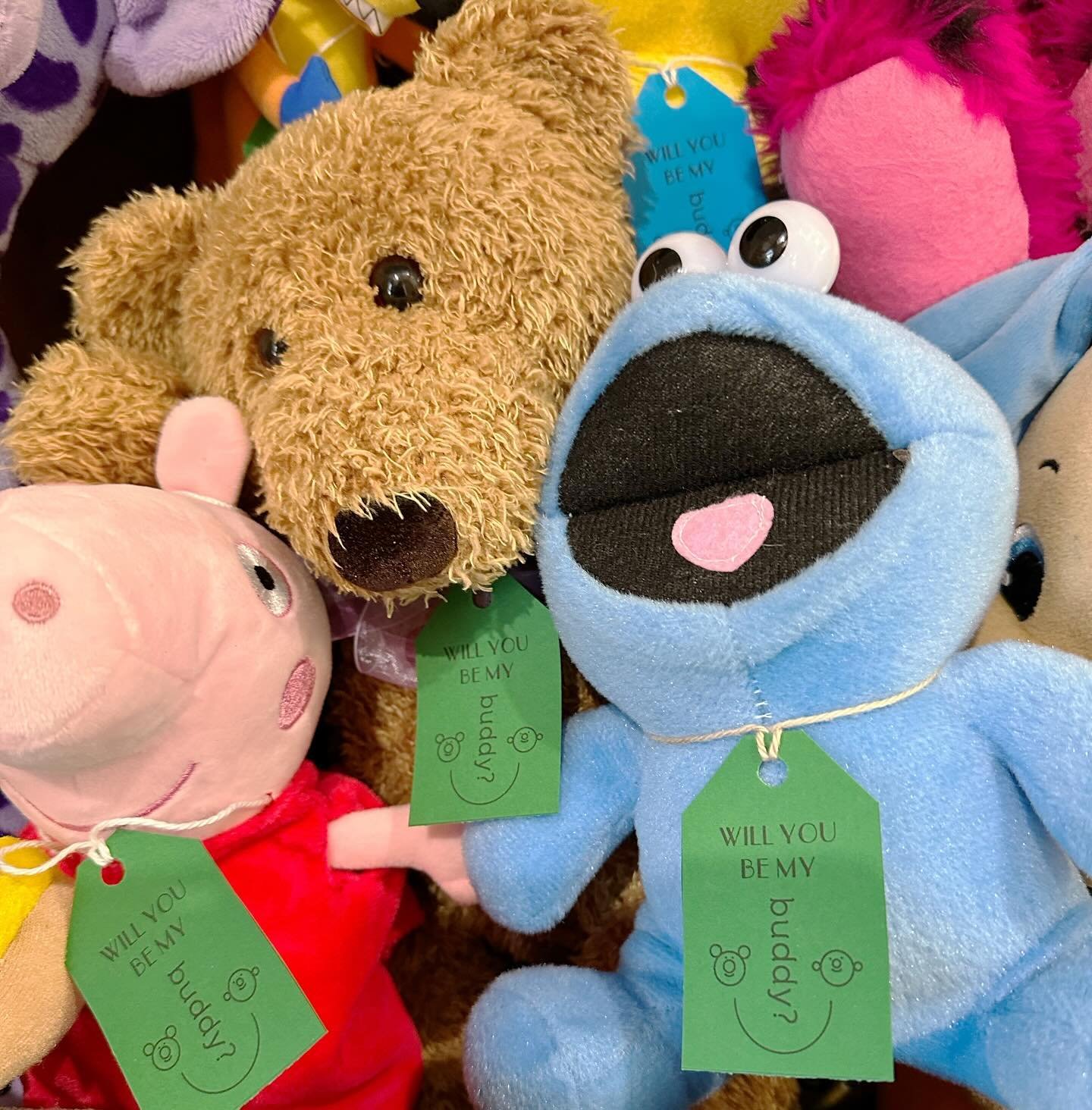 Need a new special friend at your house? Our &lsquo;Adopt a Buddy&rsquo; scheme is up and running. Pop past our office to find your perfect companion today! #adoptabuddy #community #neighbourhoodhouses #neighbourhoodhousesvictoria