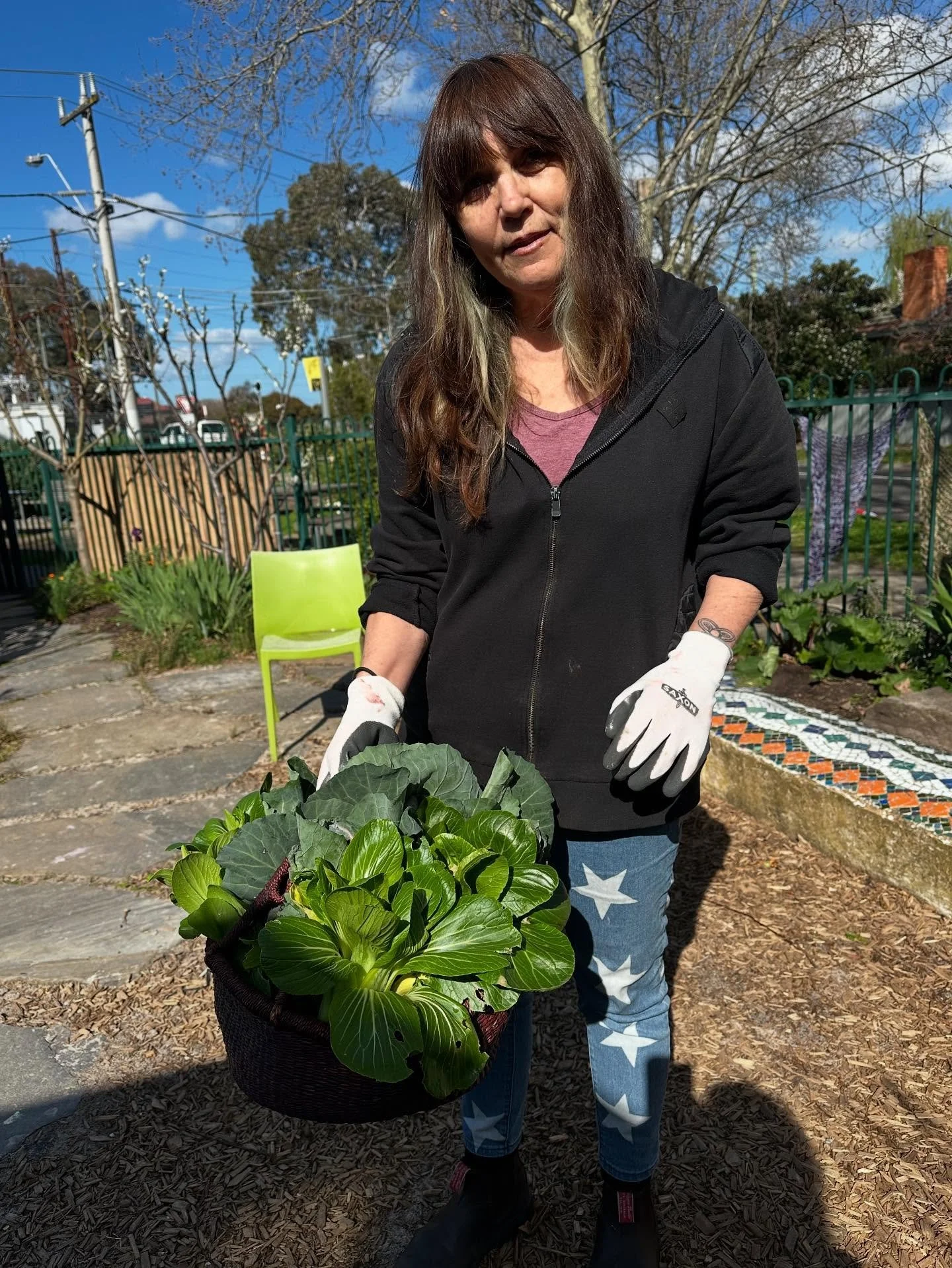 Spring has sprung and our community garden is producing! Lots of cabbage and bokchoy harvested today #communitygarden #communitylunch #gardentoplate #darebin #yarralife