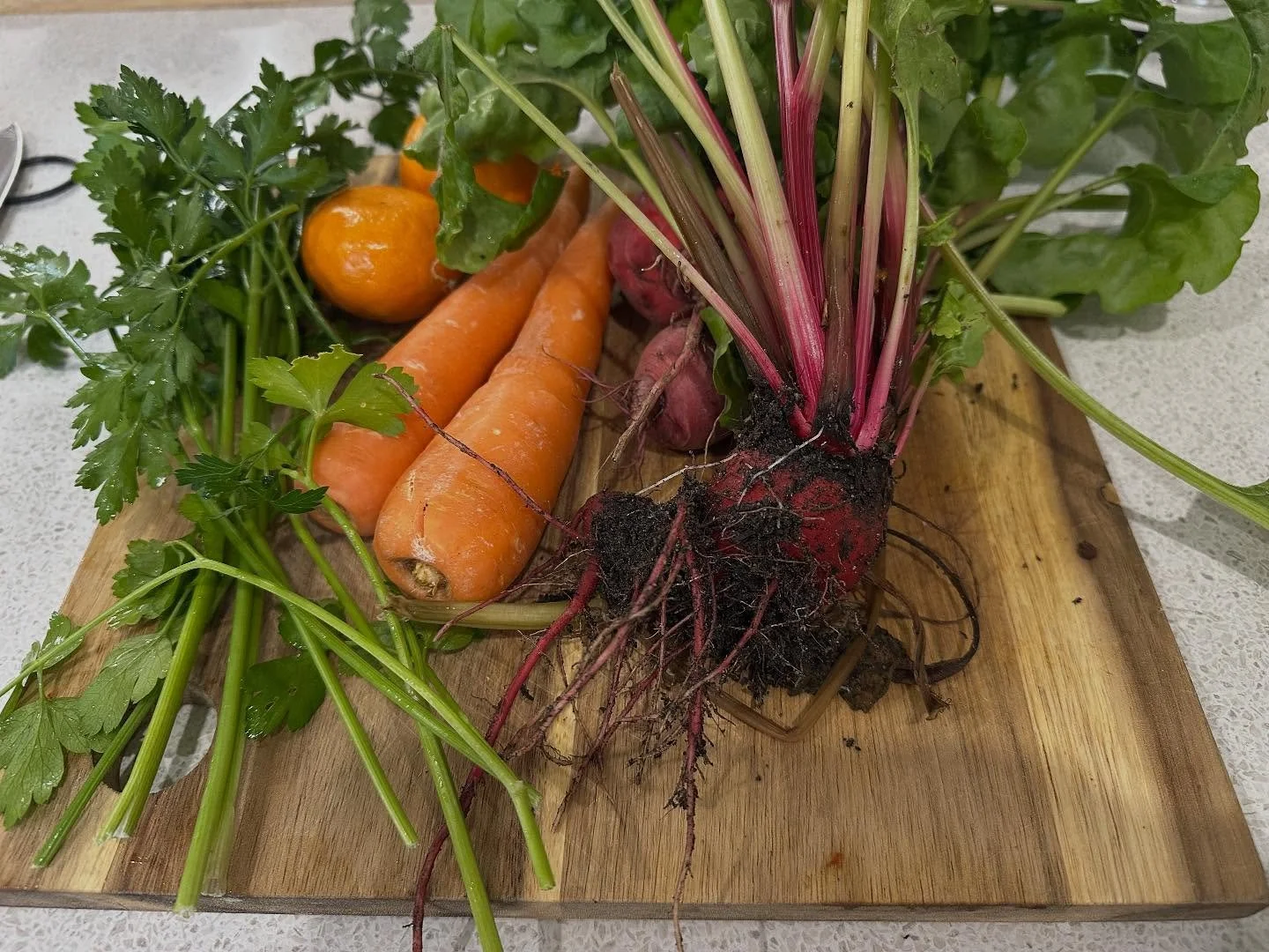 #gardentoplate &hellip; turning the beetroot, citrus and herbs from our garden into a delicious salad today #communitycooking