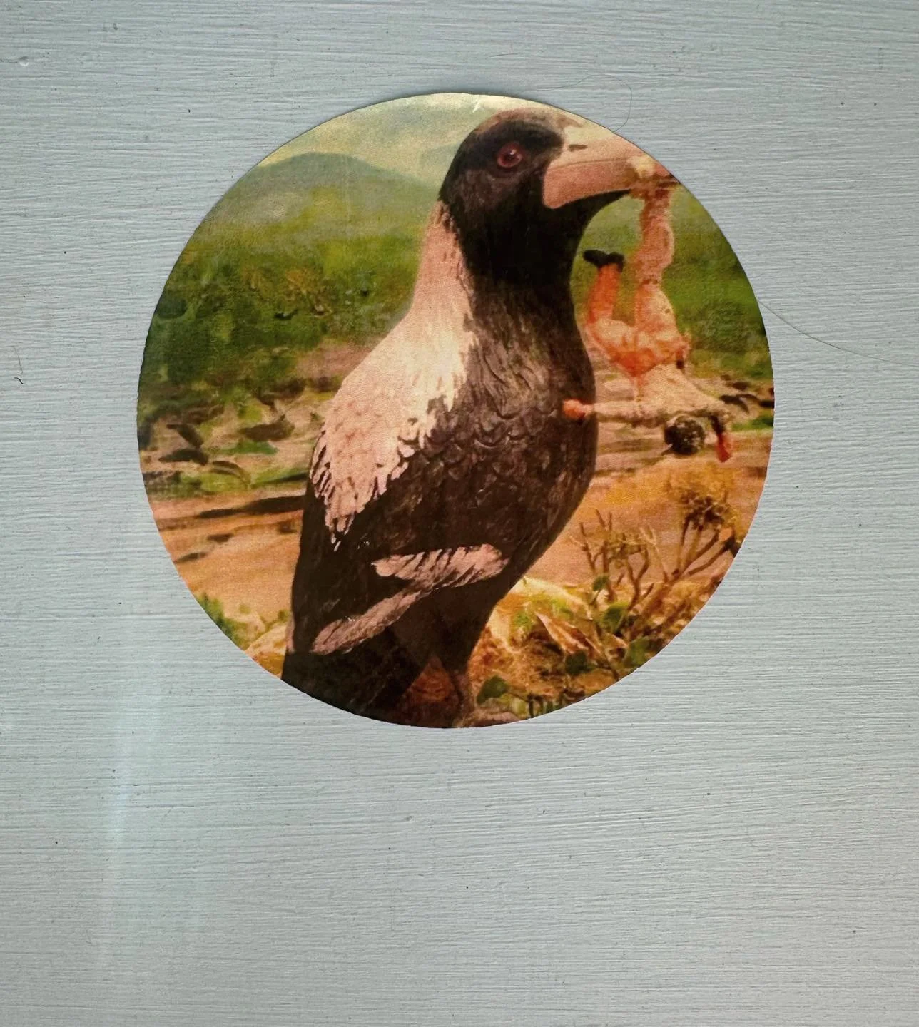 Always lovely to find a little #streetart joy after@sharonwestartstuff has been exhibiting at ACC! Now on our Street Library &hellip; #communityart #streetlibrary #neighbourhoodhouse