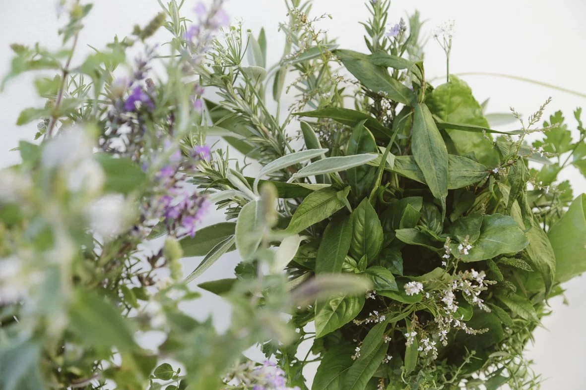 ACC AlphShow25 LR-1129.jpg