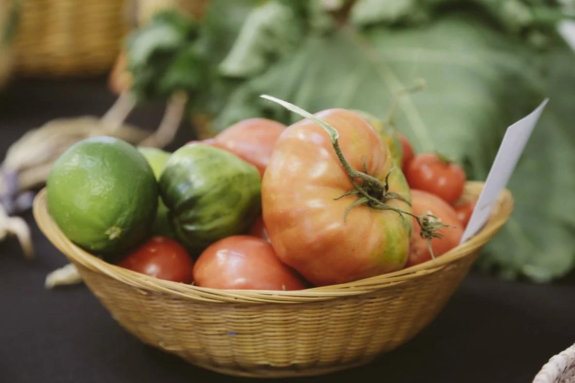 ACC AlphShow25 LR-1140.jpg