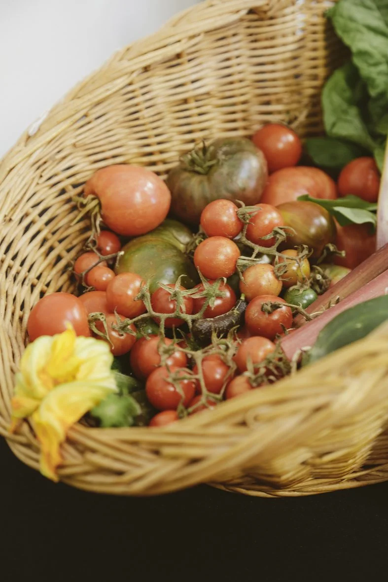 ACC AlphShow25 LR-1148.jpg