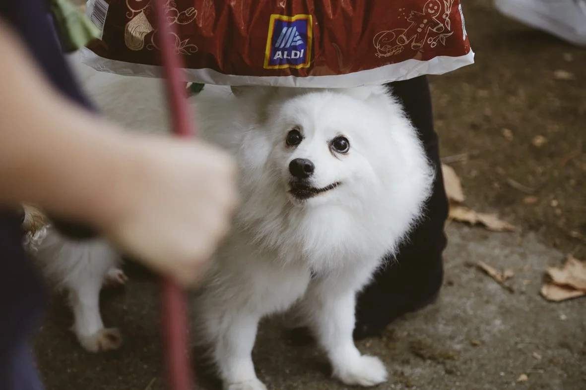 ACC AlphShow25 LR-1623.jpg