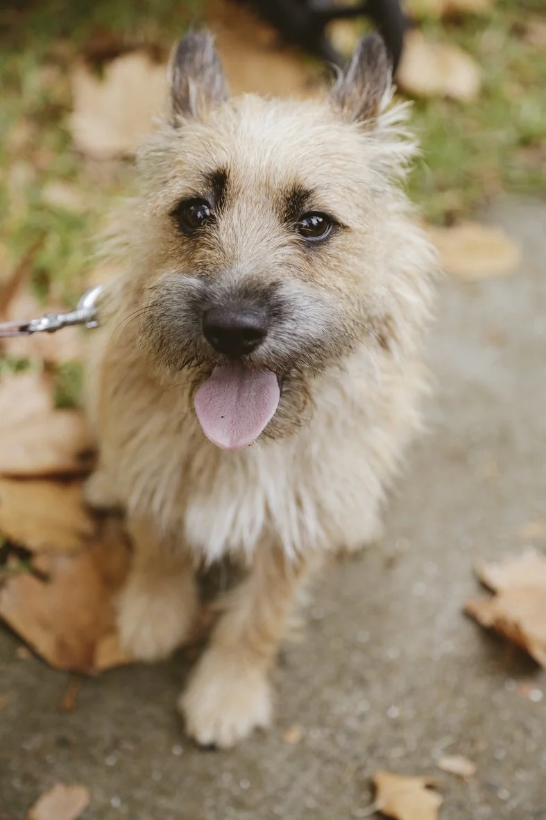 ACC AlphShow25 LR-1657.jpg