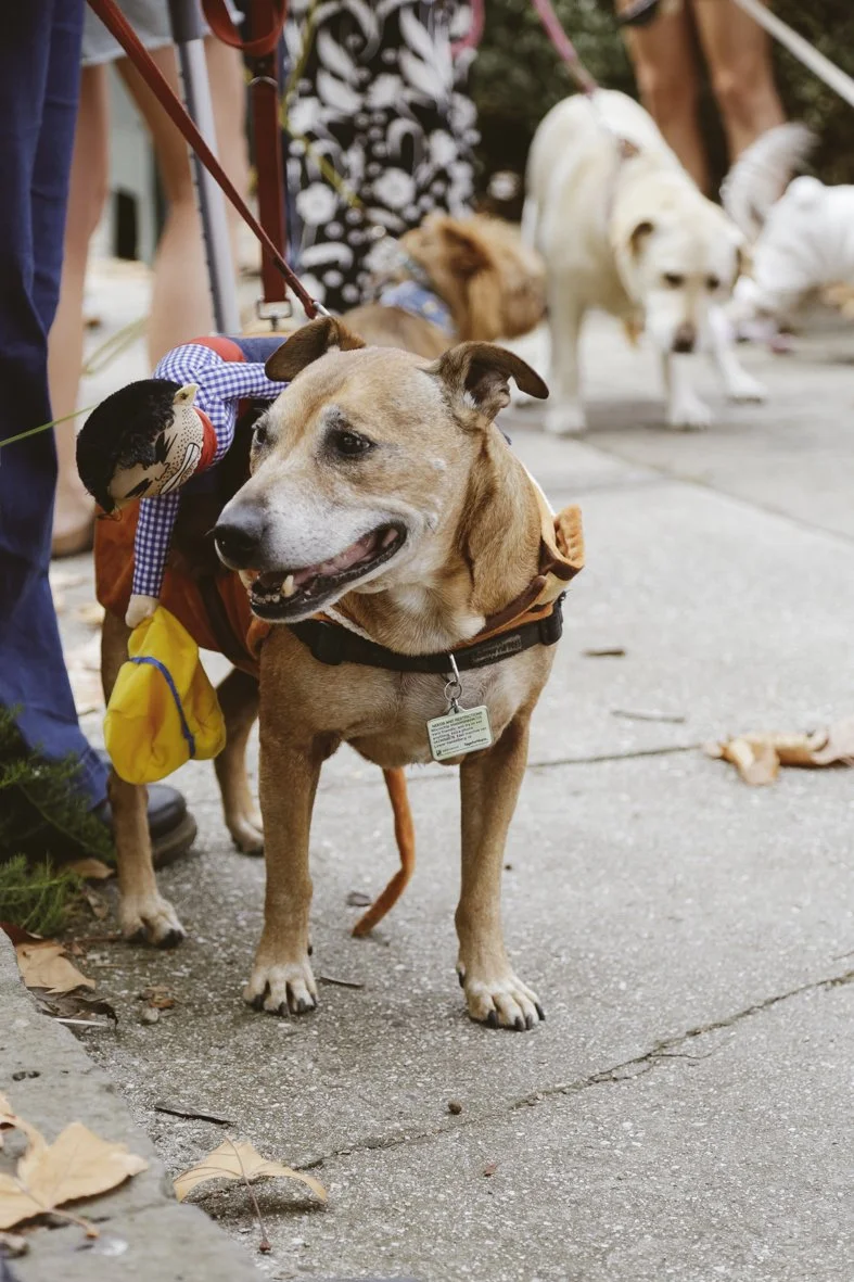 ACC AlphShow25 LR-1665.jpg