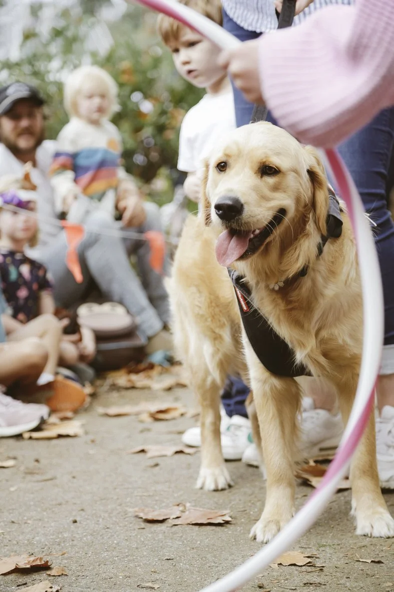 ACC AlphShow25 LR-1730.jpg