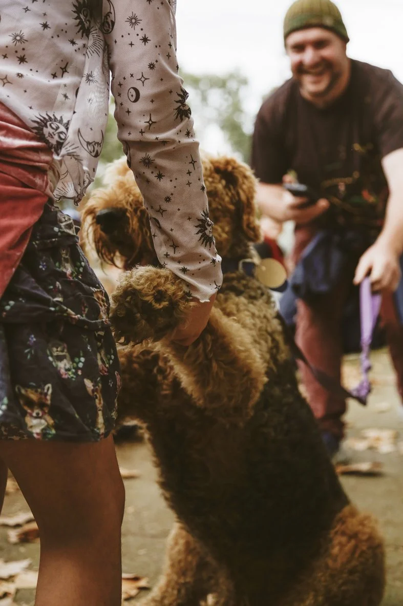 ACC AlphShow25 LR-1854.jpg