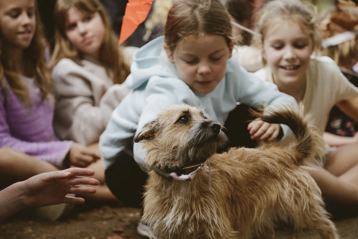 ACC AlphShow25 LR-2891.jpg