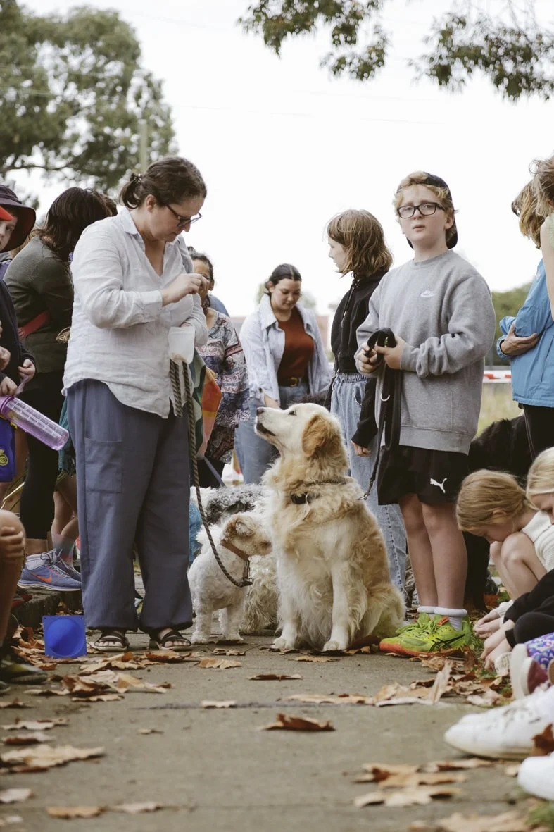 ACC AlphShow25 LR-2544.jpg