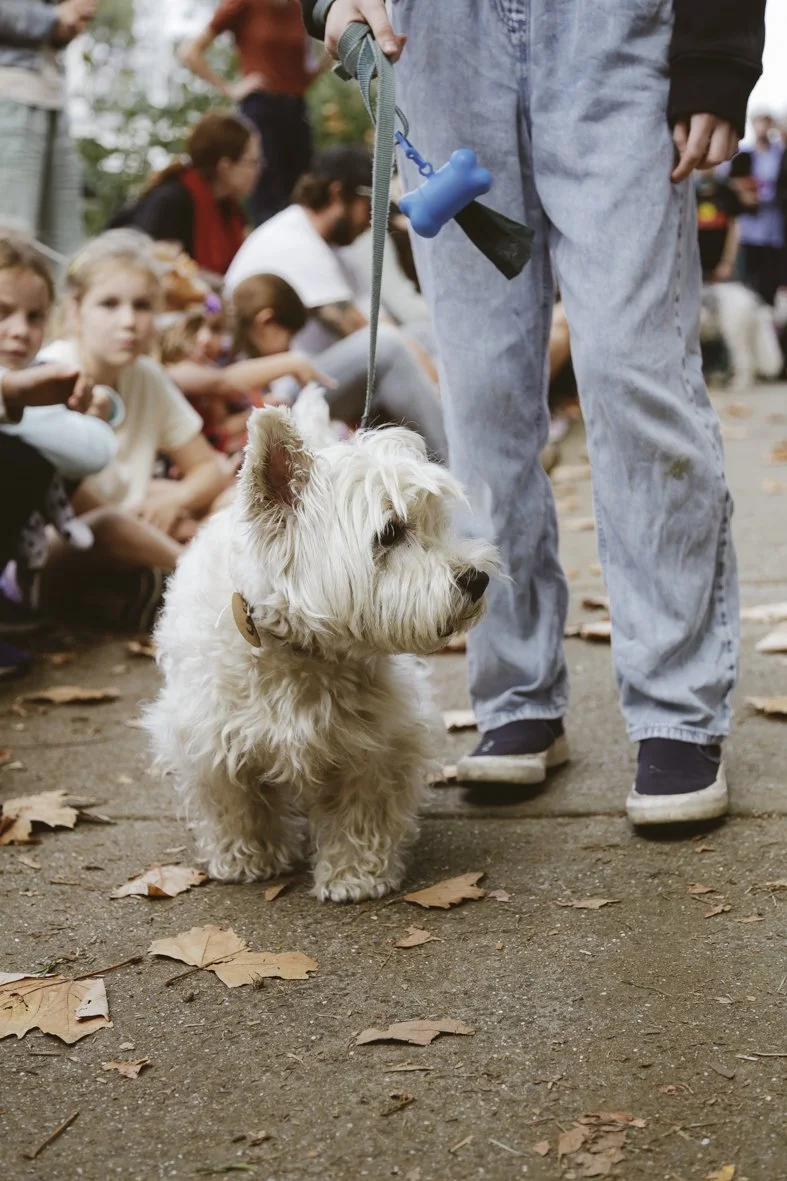 ACC AlphShow25 LR-2565.jpg