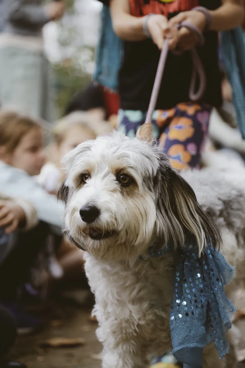 ACC AlphShow25 LR-2576.jpg