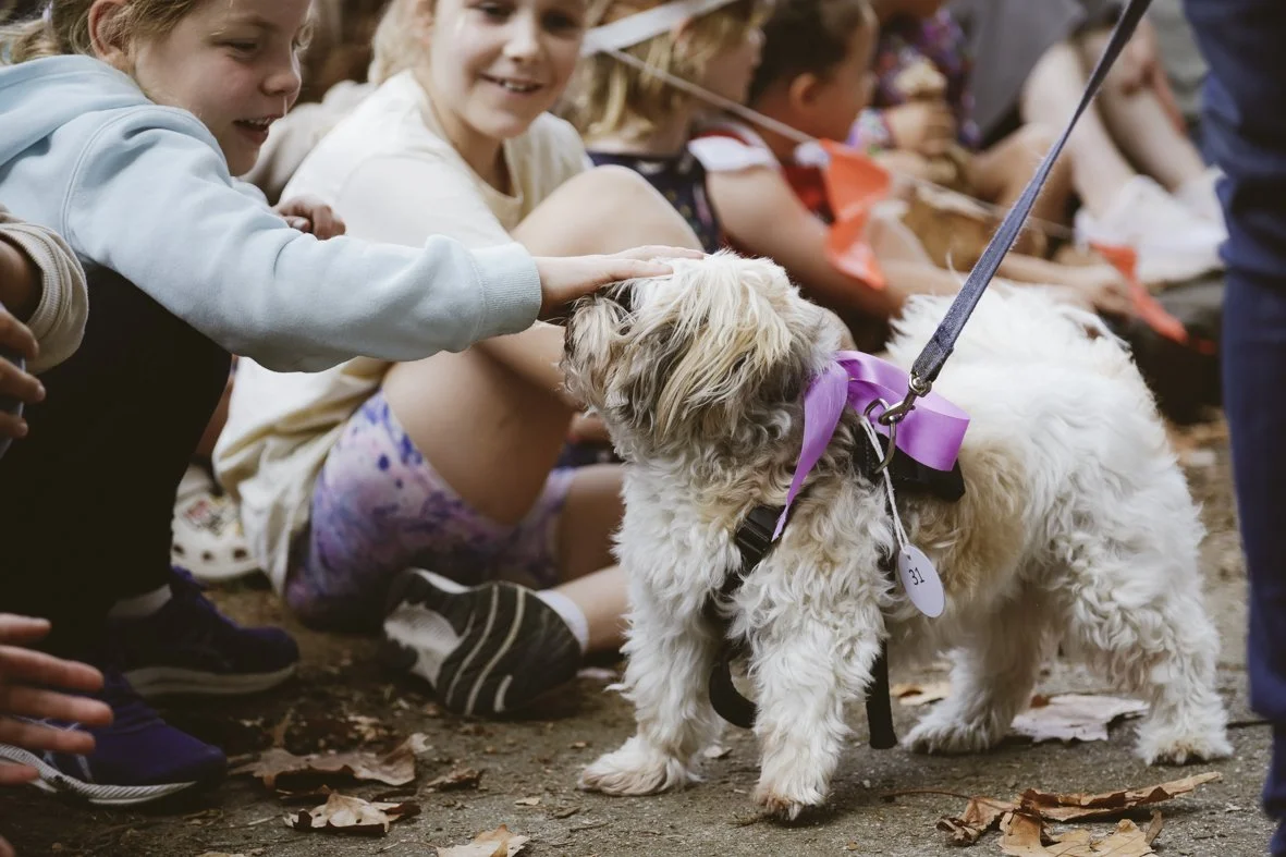 ACC AlphShow25 LR-2716.jpg