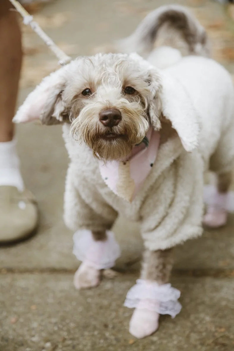 ACC AlphShow25 LR-3063.jpg