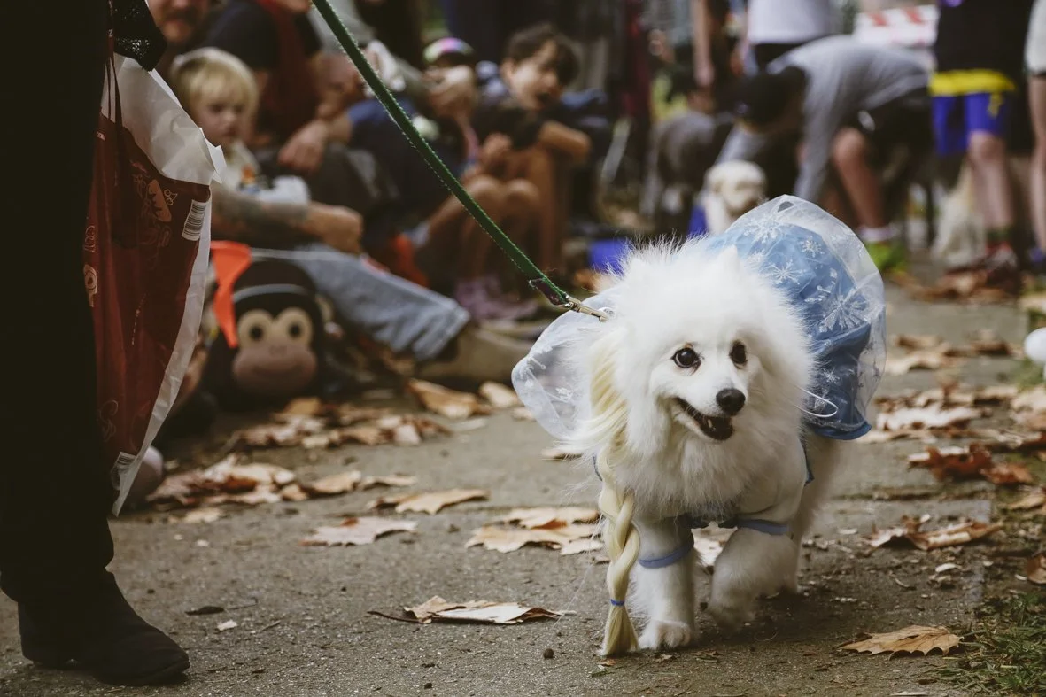 ACC AlphShow25 LR-1876.jpg