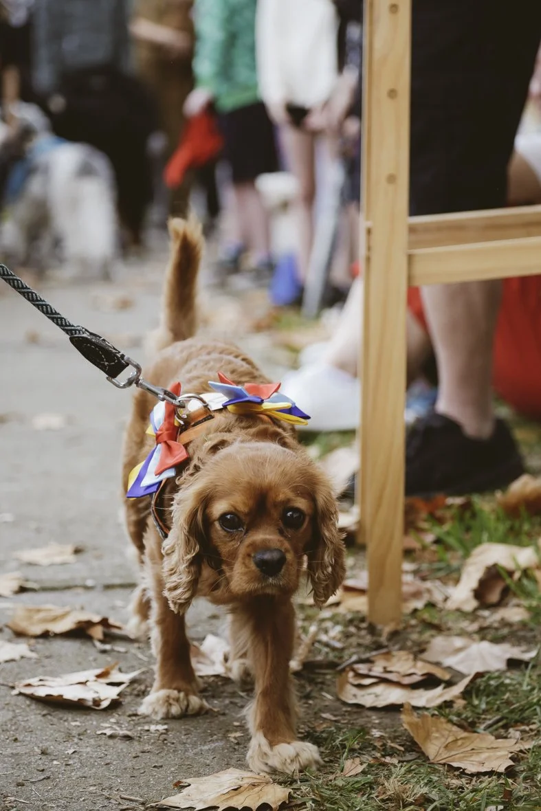 ACC AlphShow25 LR-2117.jpg